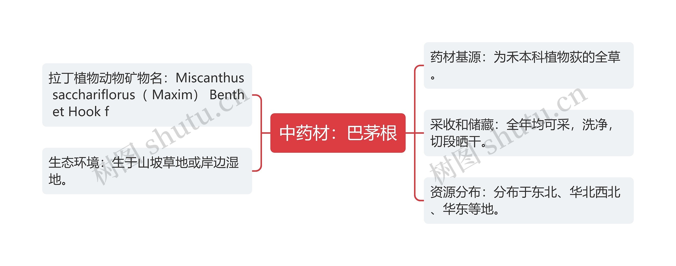 中药材：巴茅根思维导图