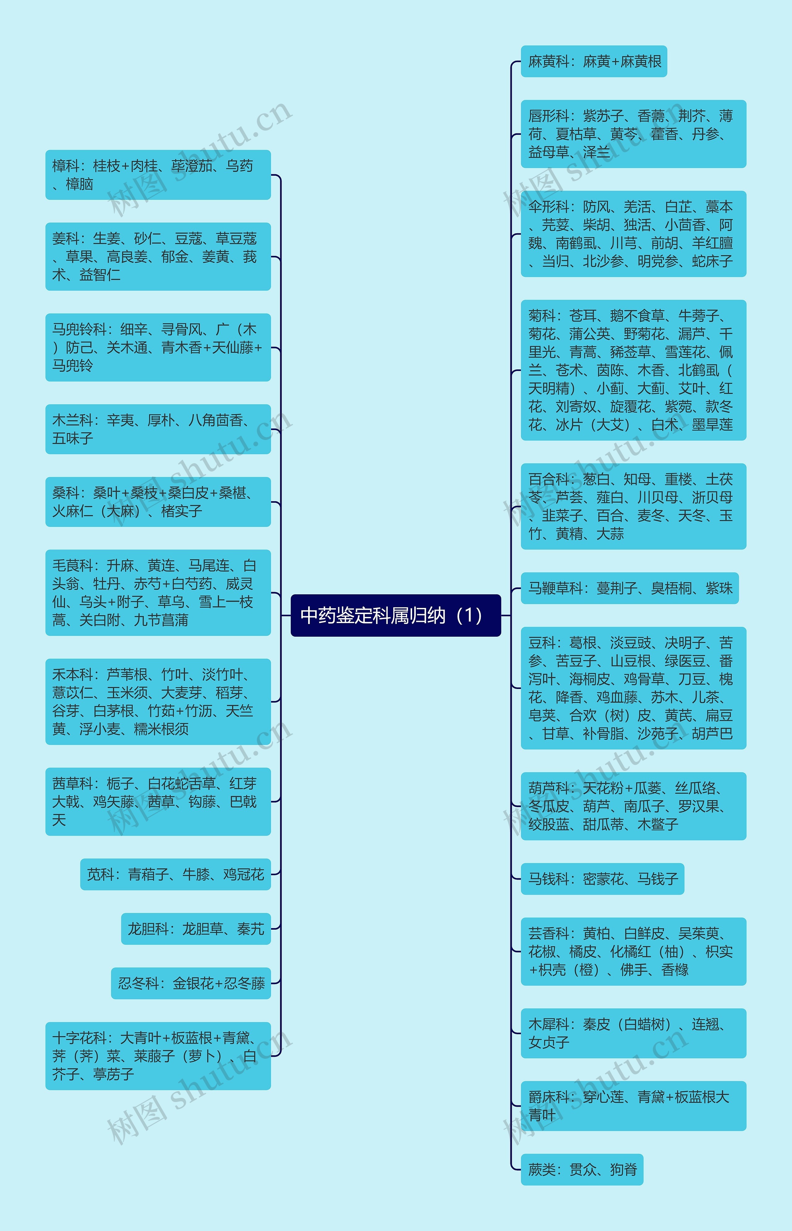 中药鉴定科属归纳（1）思维导图