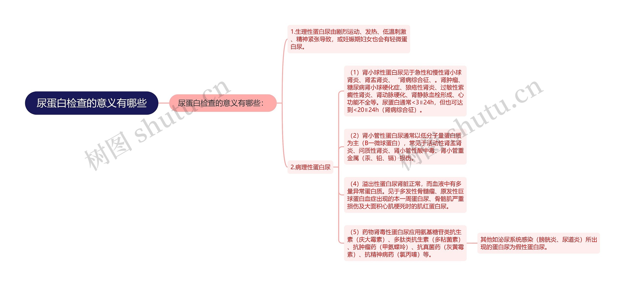 尿蛋白检查的意义有哪些思维导图