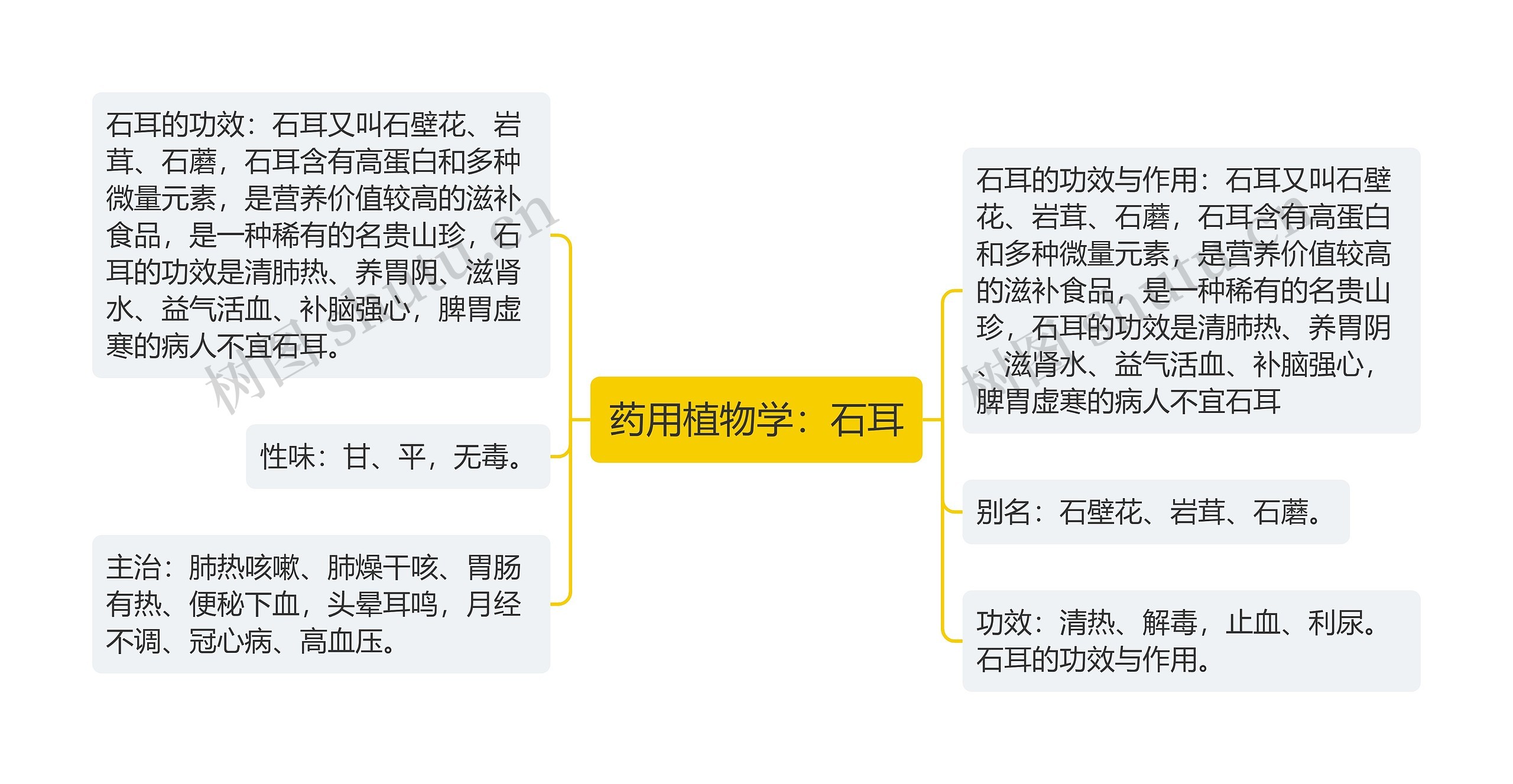 药用植物学：石耳思维导图