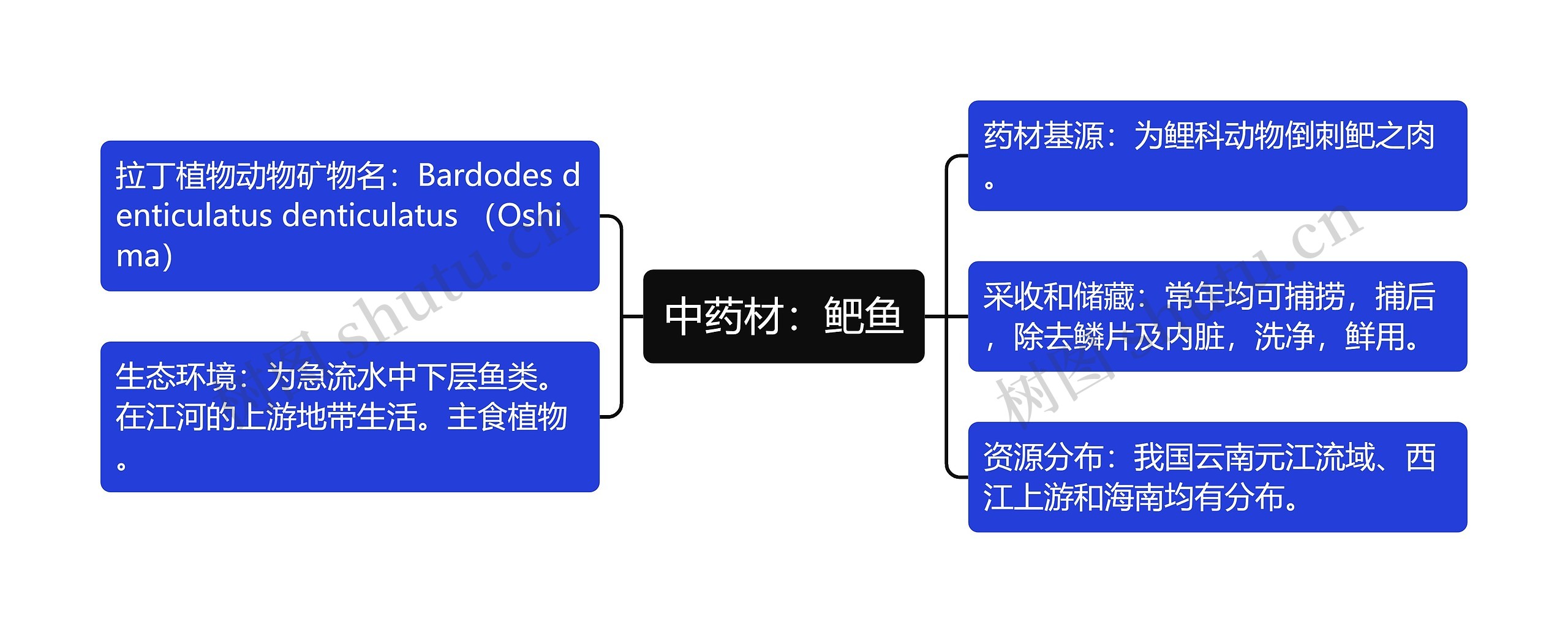 中药材：鲃鱼思维导图