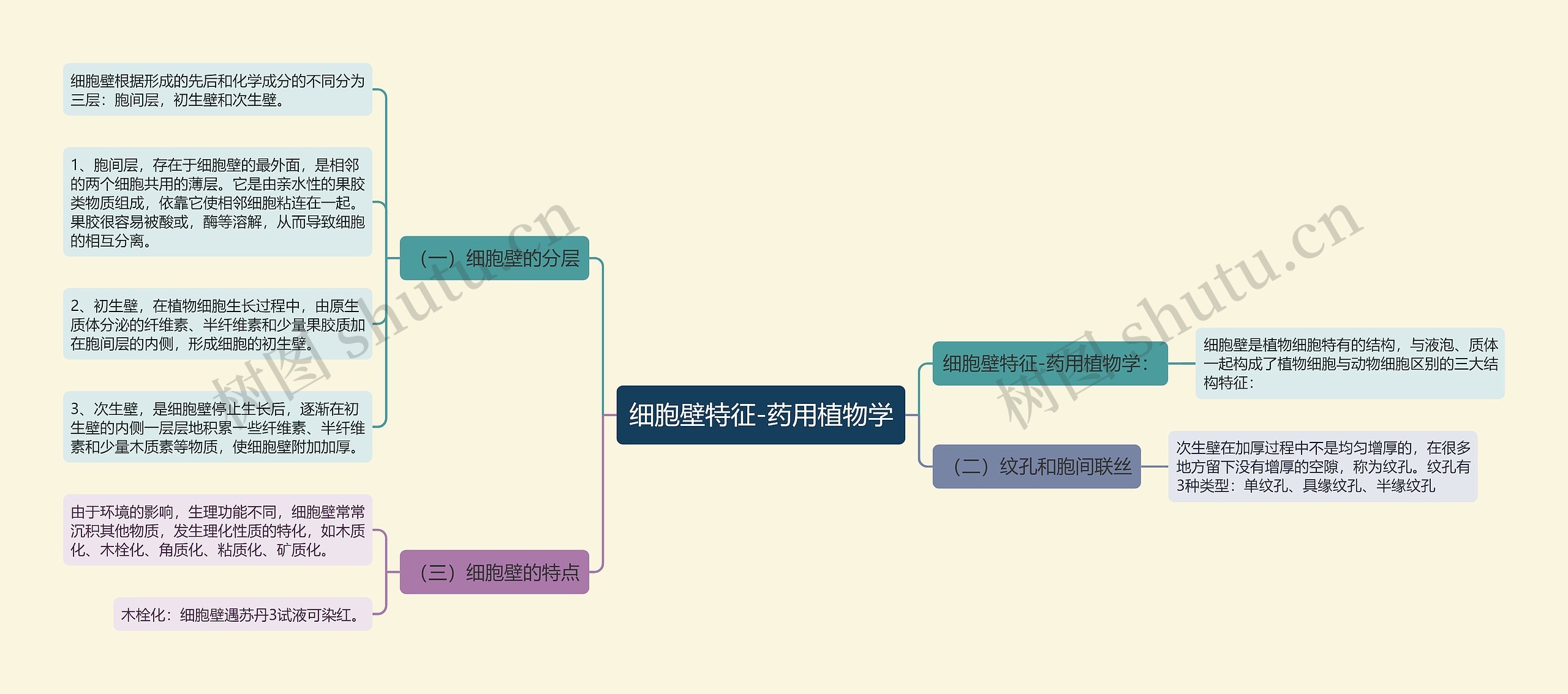 细胞壁特征-药用植物学思维导图