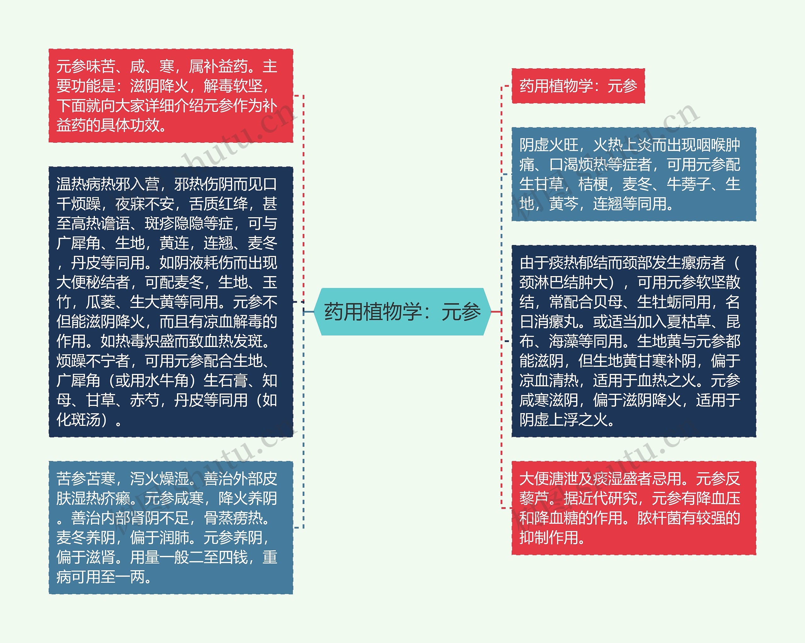 药用植物学：元参思维导图