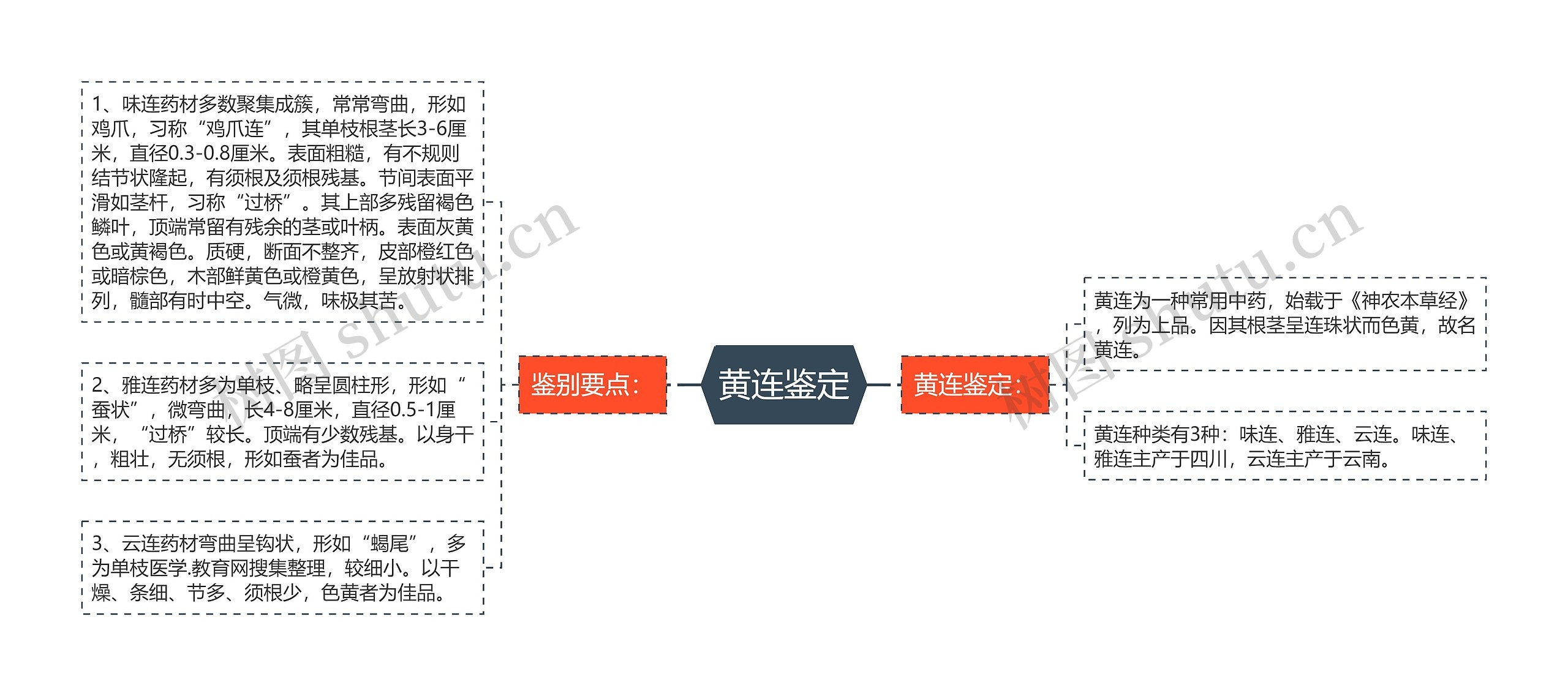 黄连鉴定思维导图