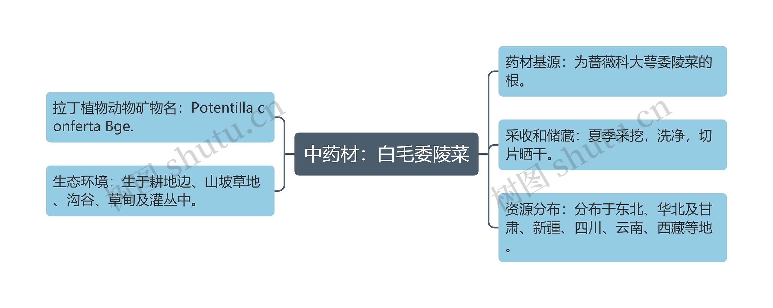 中药材：白毛委陵菜思维导图