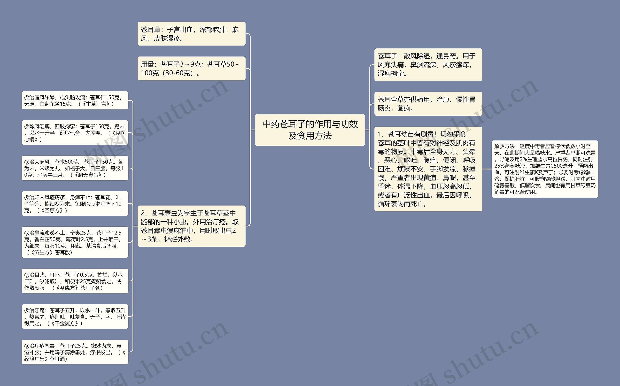 中药苍耳子的作用与功效及食用方法思维导图