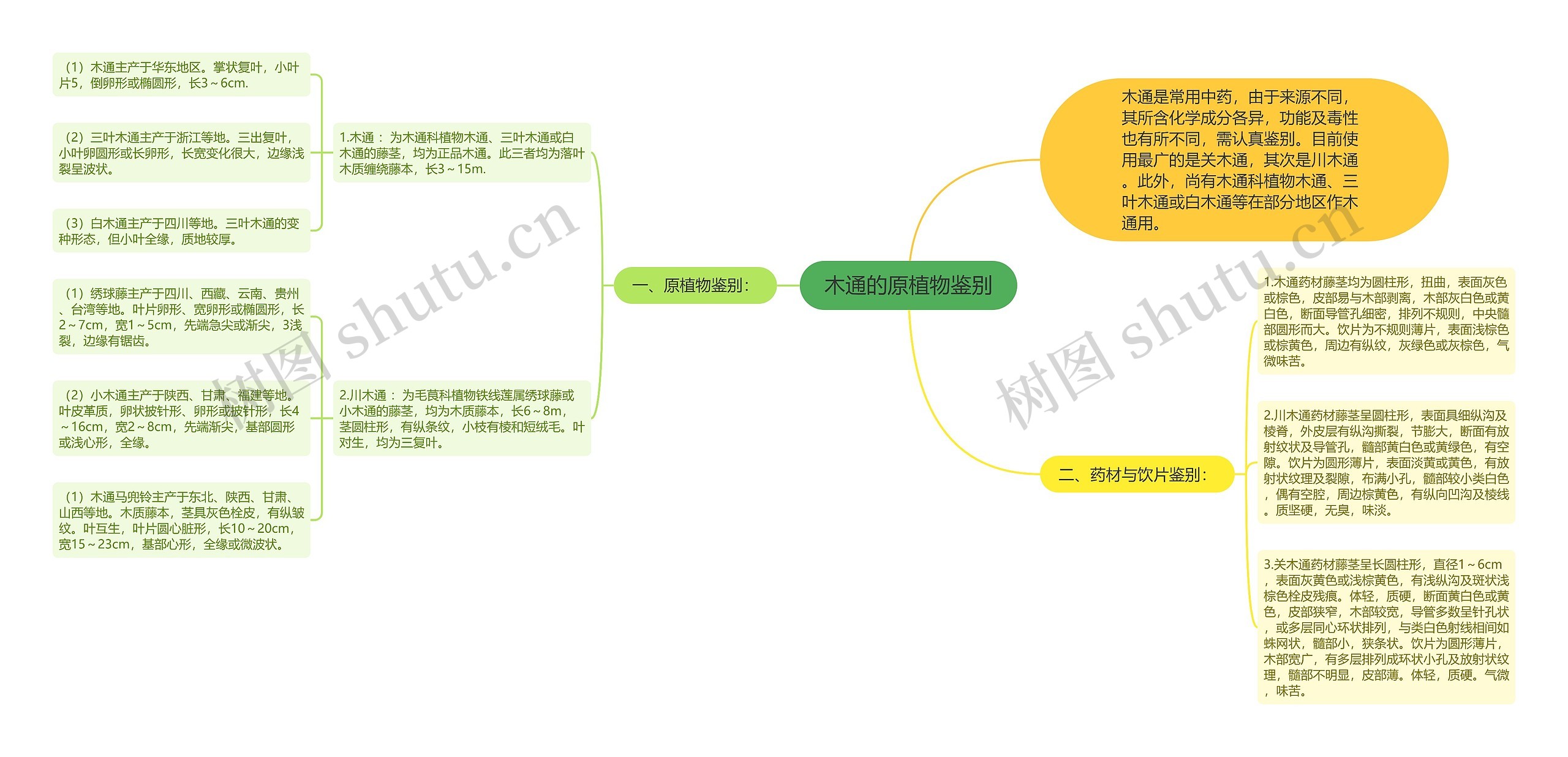 木通的原植物鉴别思维导图