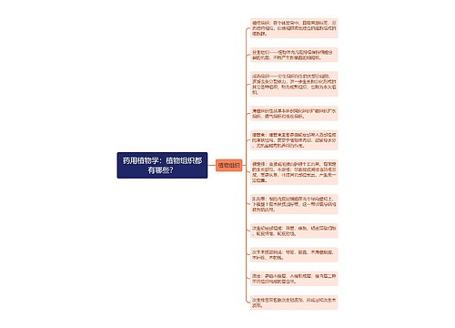 药用植物学：植物组织都有哪些？