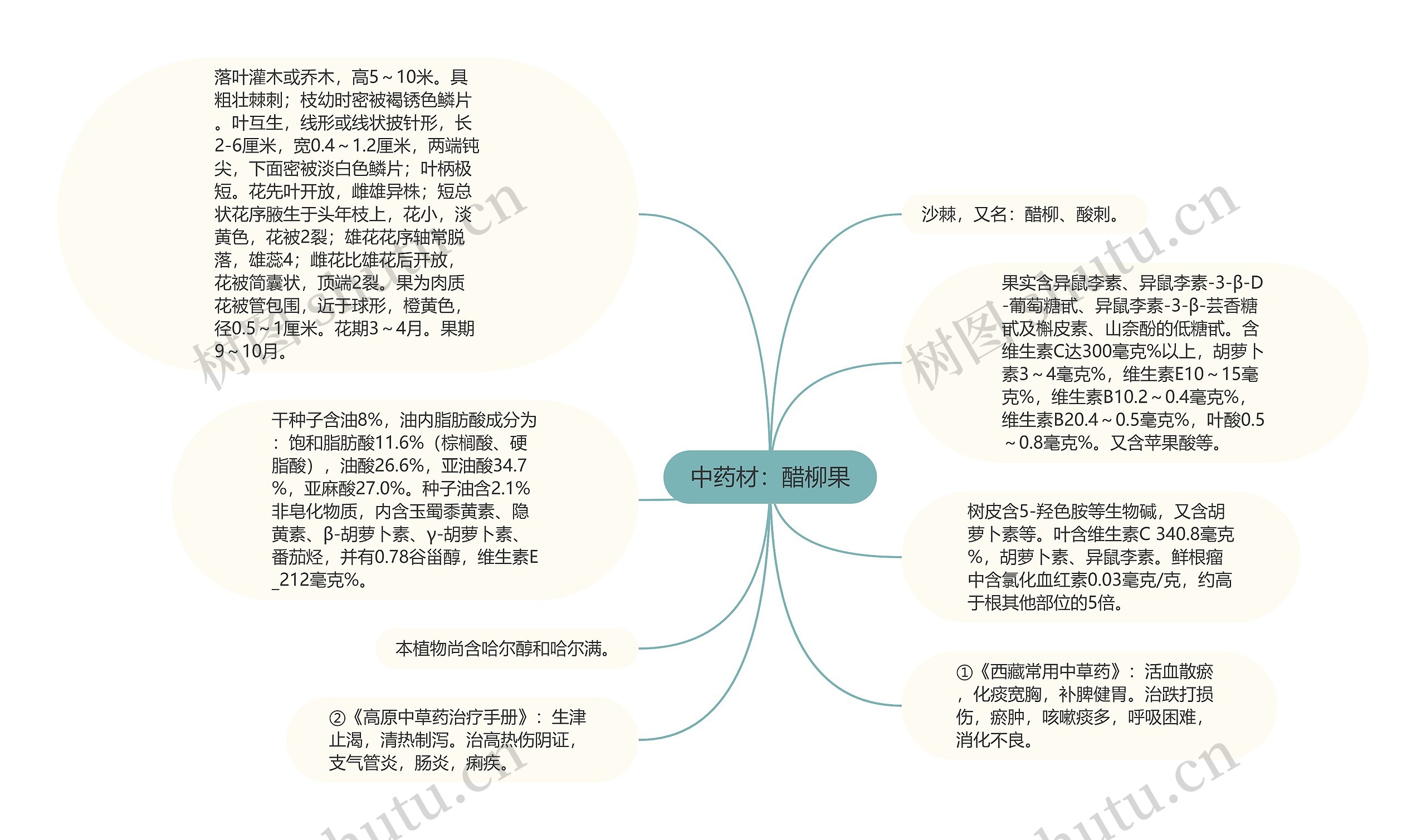 中药材：醋柳果思维导图