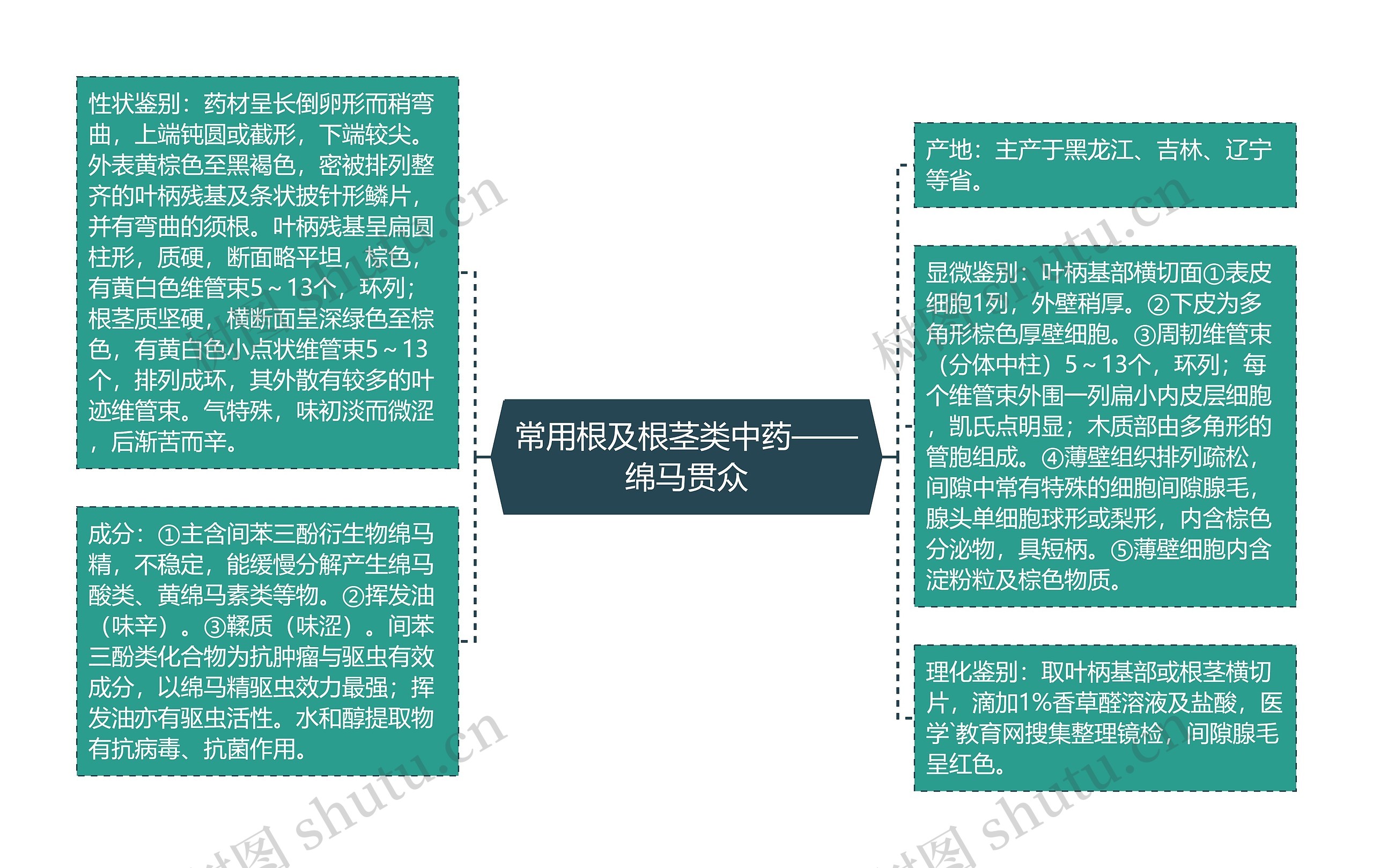 常用根及根茎类中药——绵马贯众 常用根及根茎类中药——绵马贯众