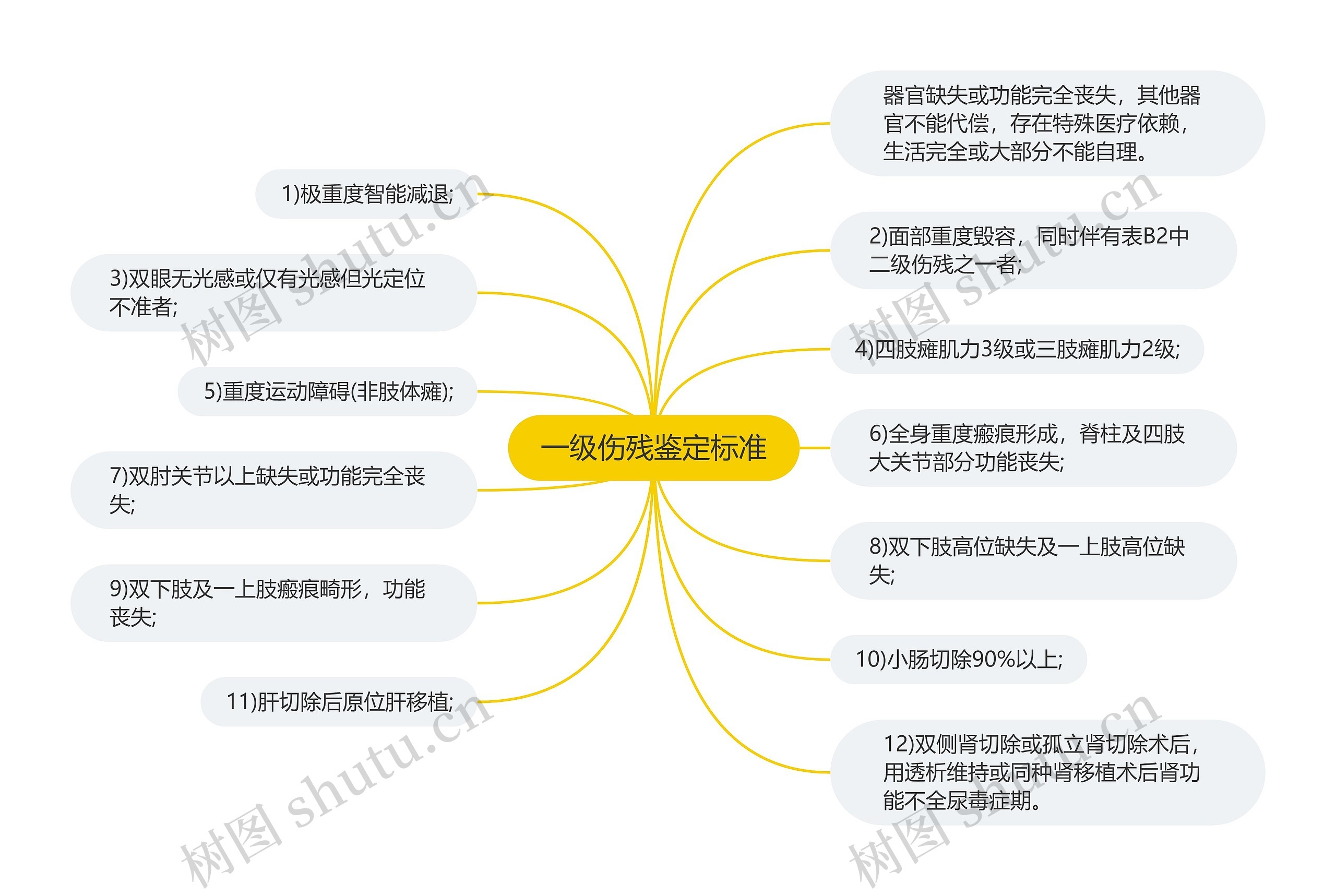 一级伤残鉴定标准