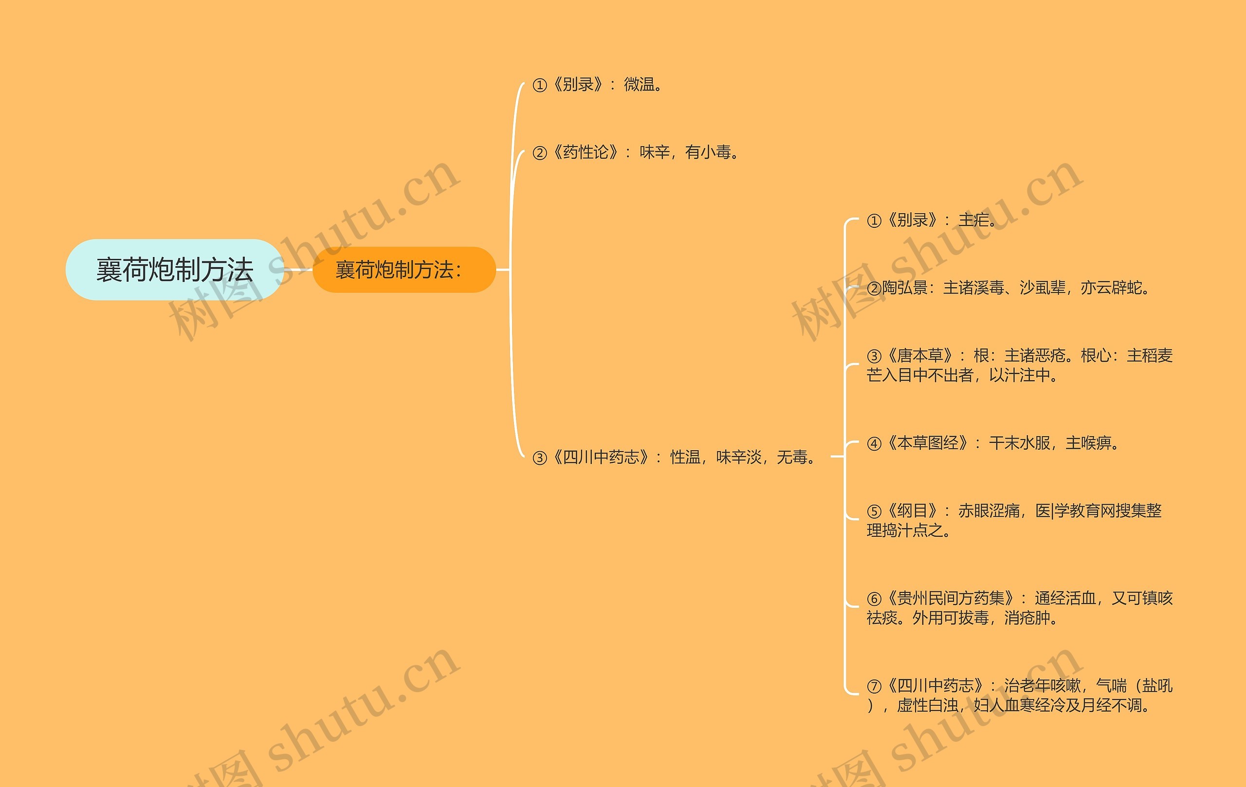 襄荷炮制方法思维导图