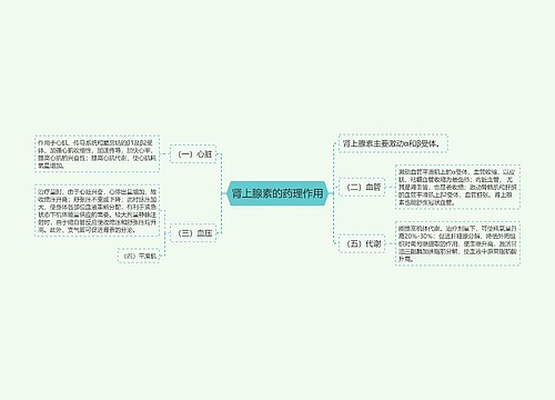 肾上腺素的药理作用