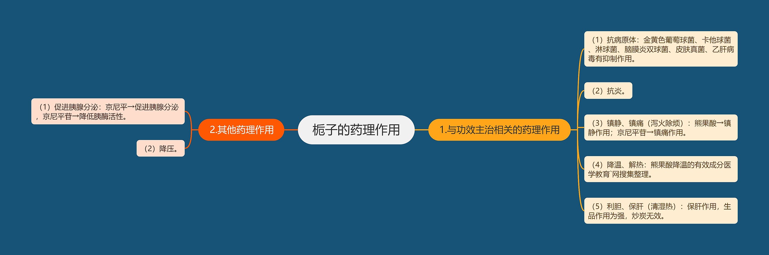 栀子的药理作用 栀子的药理作用