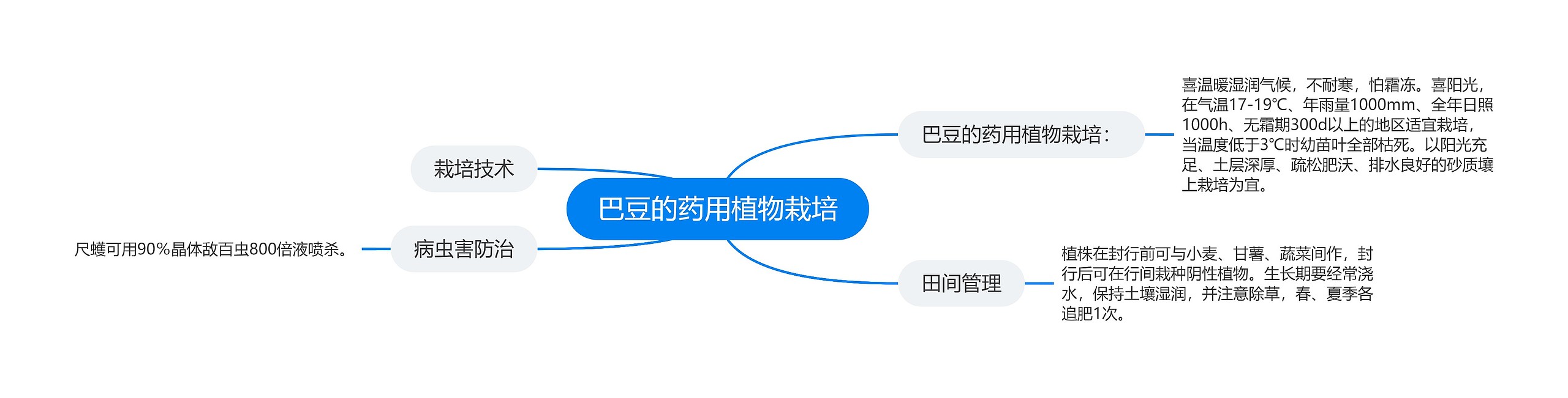 巴豆的药用植物栽培 巴豆的药用植物栽培