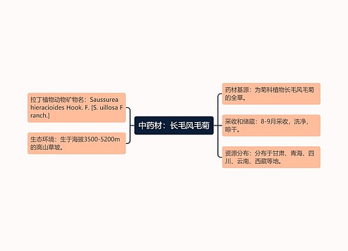 中药材：长毛风毛菊