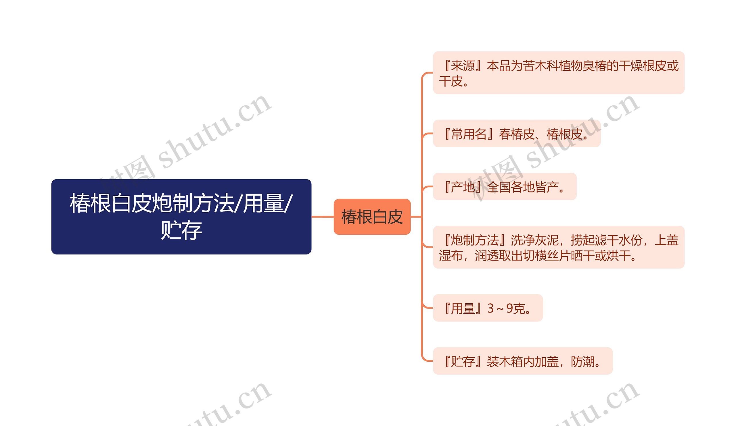 椿根白皮炮制方法/用量/贮存