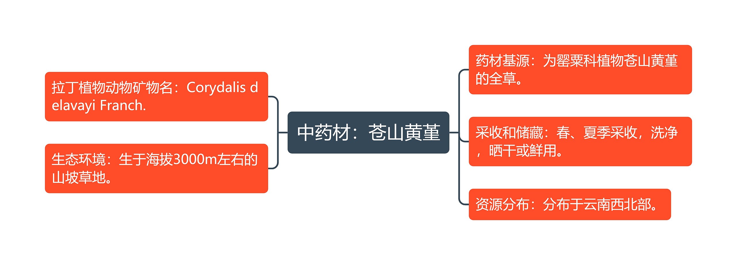 中药材：苍山黄堇思维导图