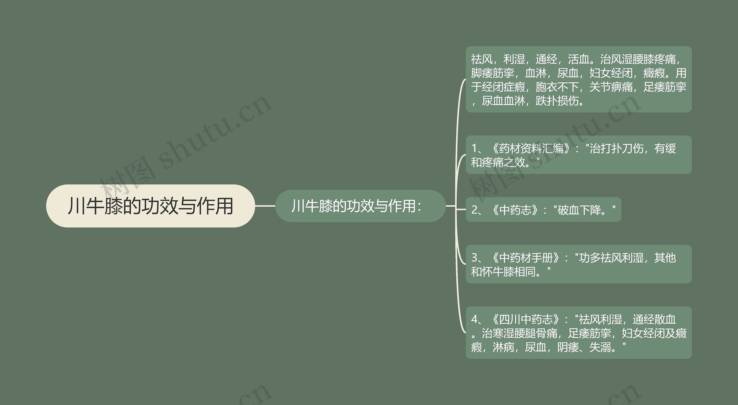 川牛膝的功效与作用思维导图