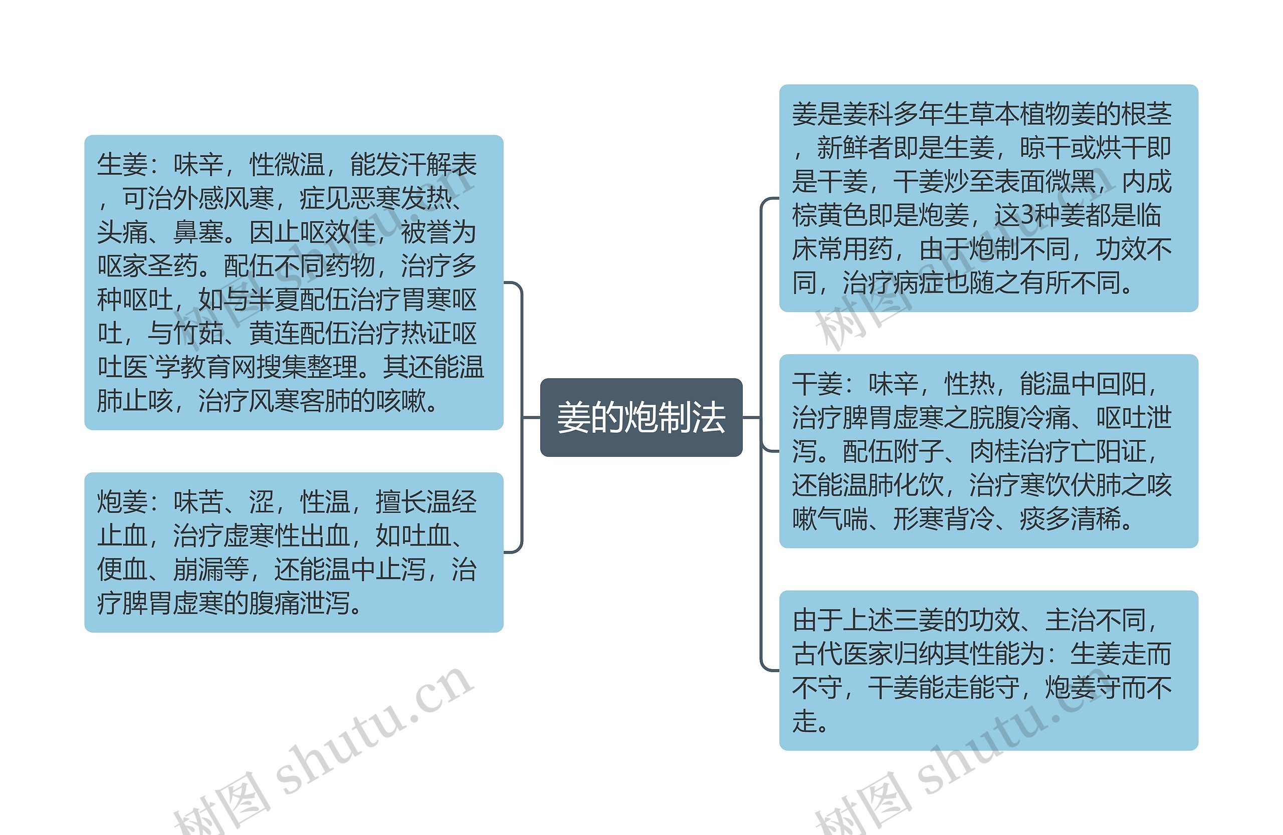 姜的炮制法思维导图