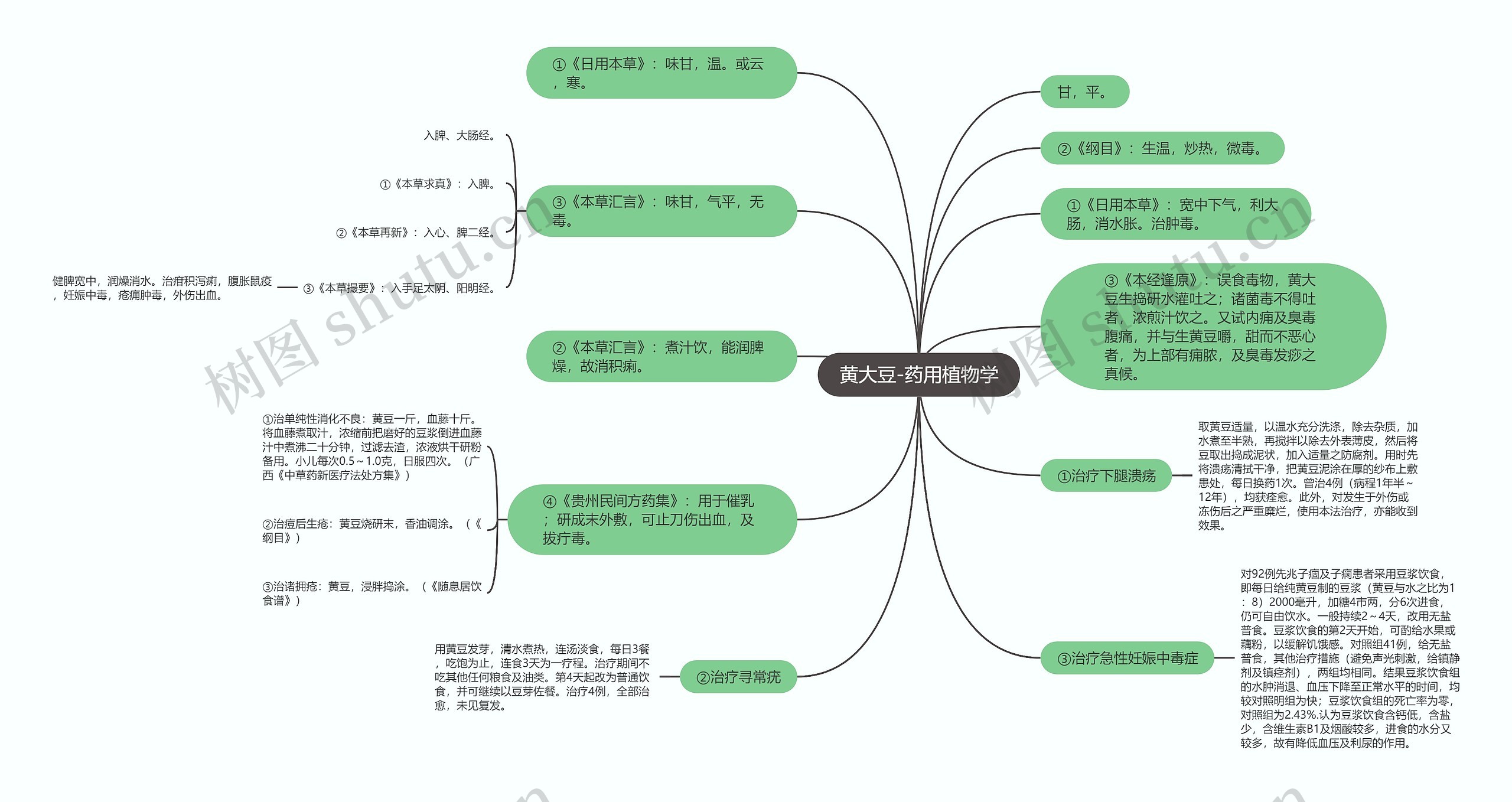 黄大豆-药用植物学 黄大豆-药用植物学