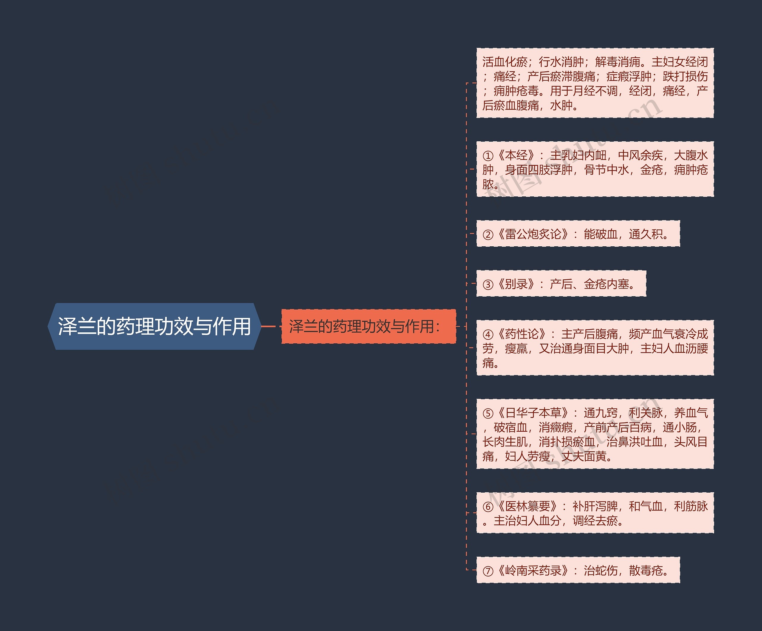 泽兰的药理功效与作用思维导图