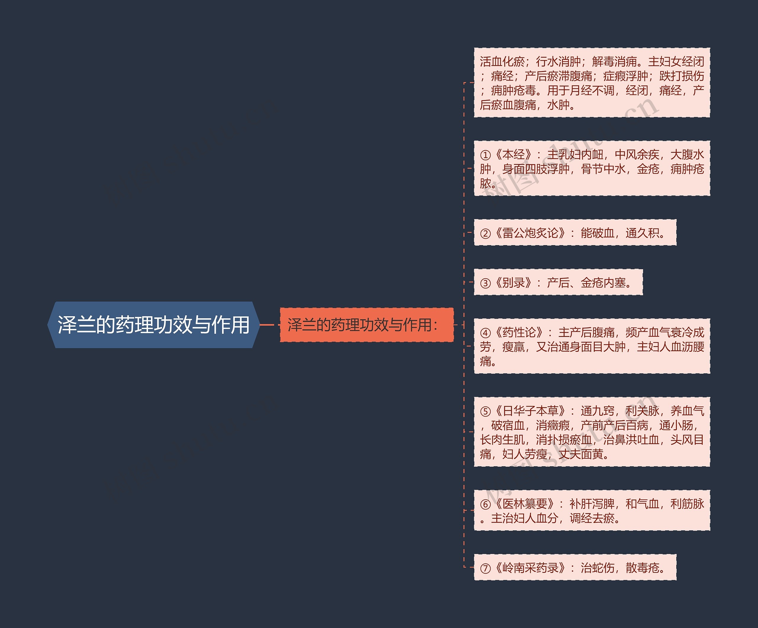 泽兰的药理功效与作用 泽兰的药理功效与作用