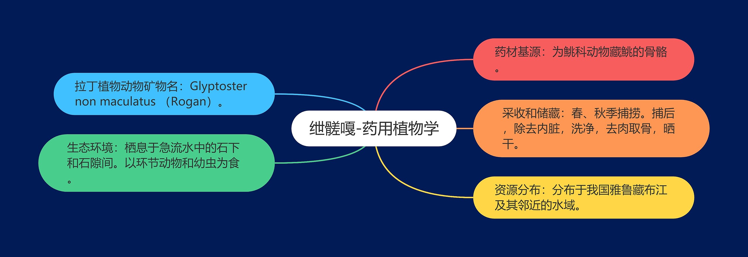 绁髊嘎-药用植物学 绁髊嘎-药用植物学