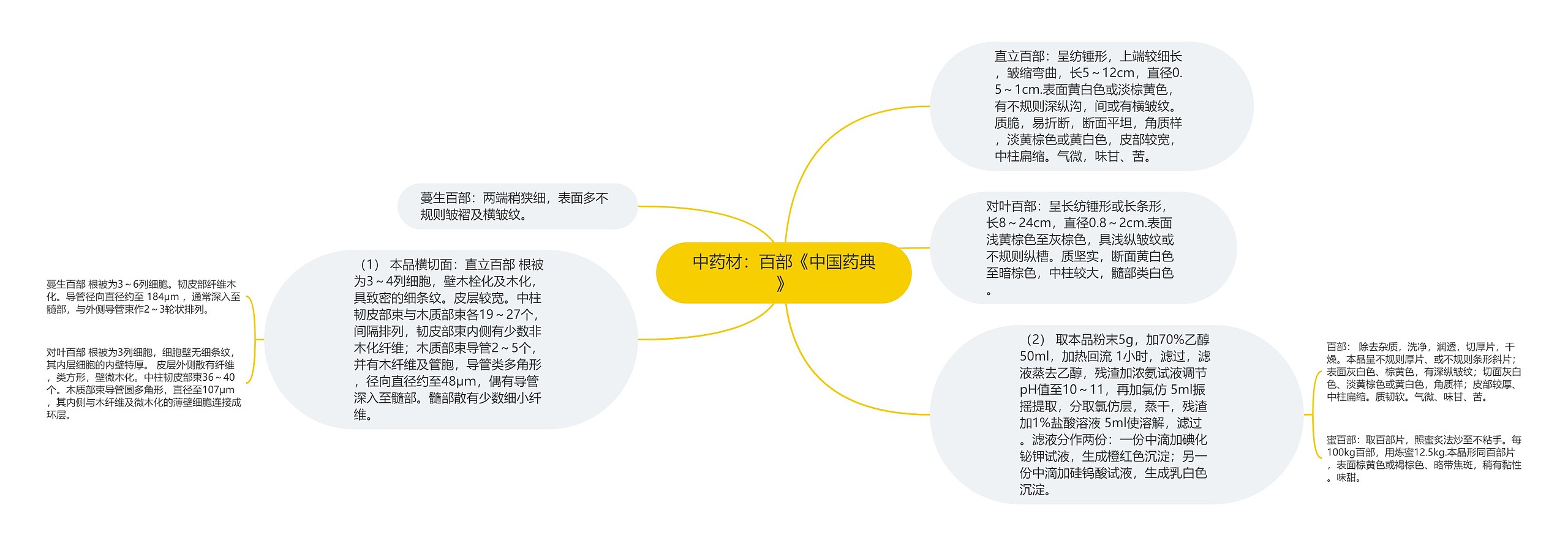 中药材：百部《中国药典》