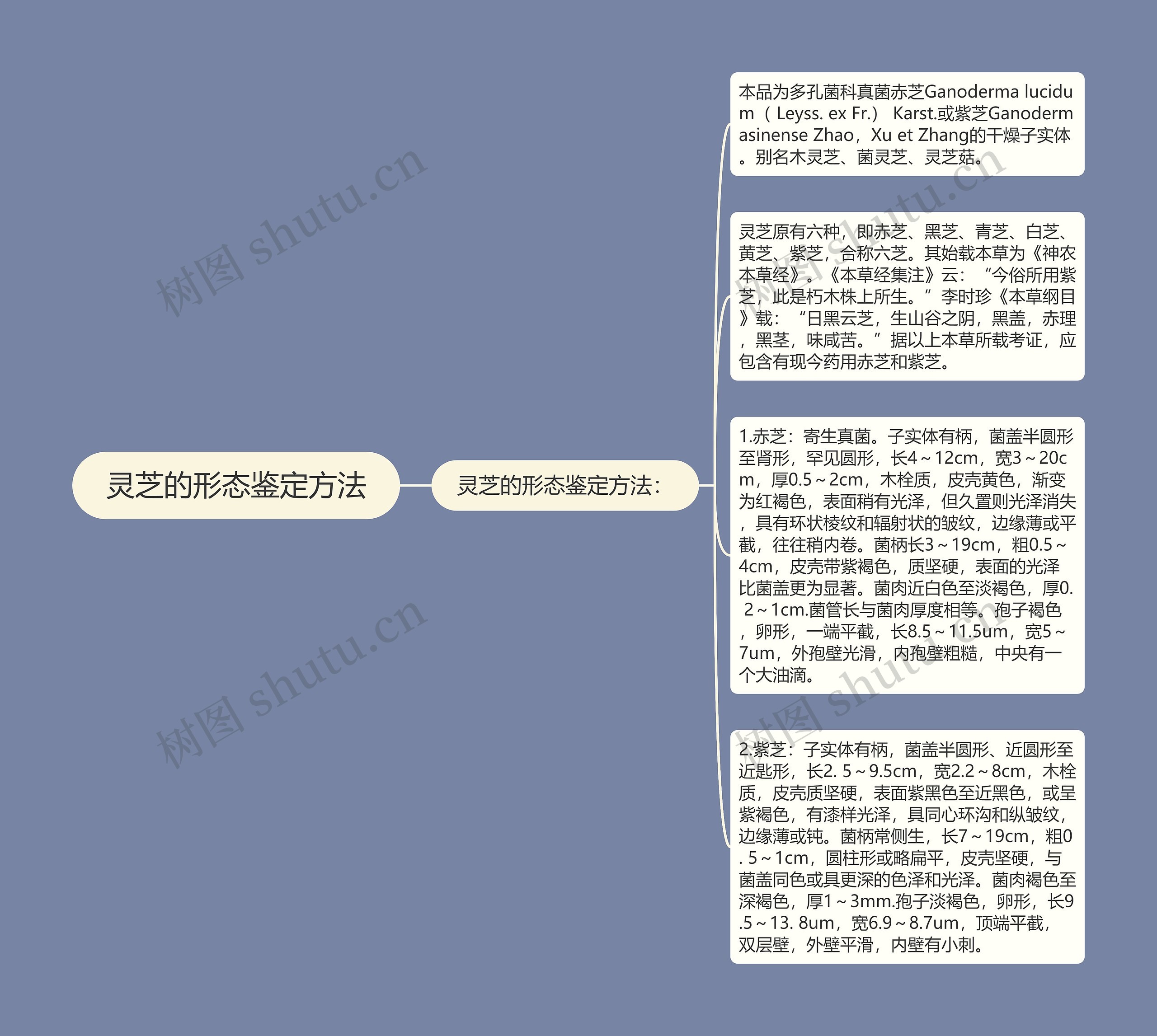 灵芝的形态鉴定方法思维导图