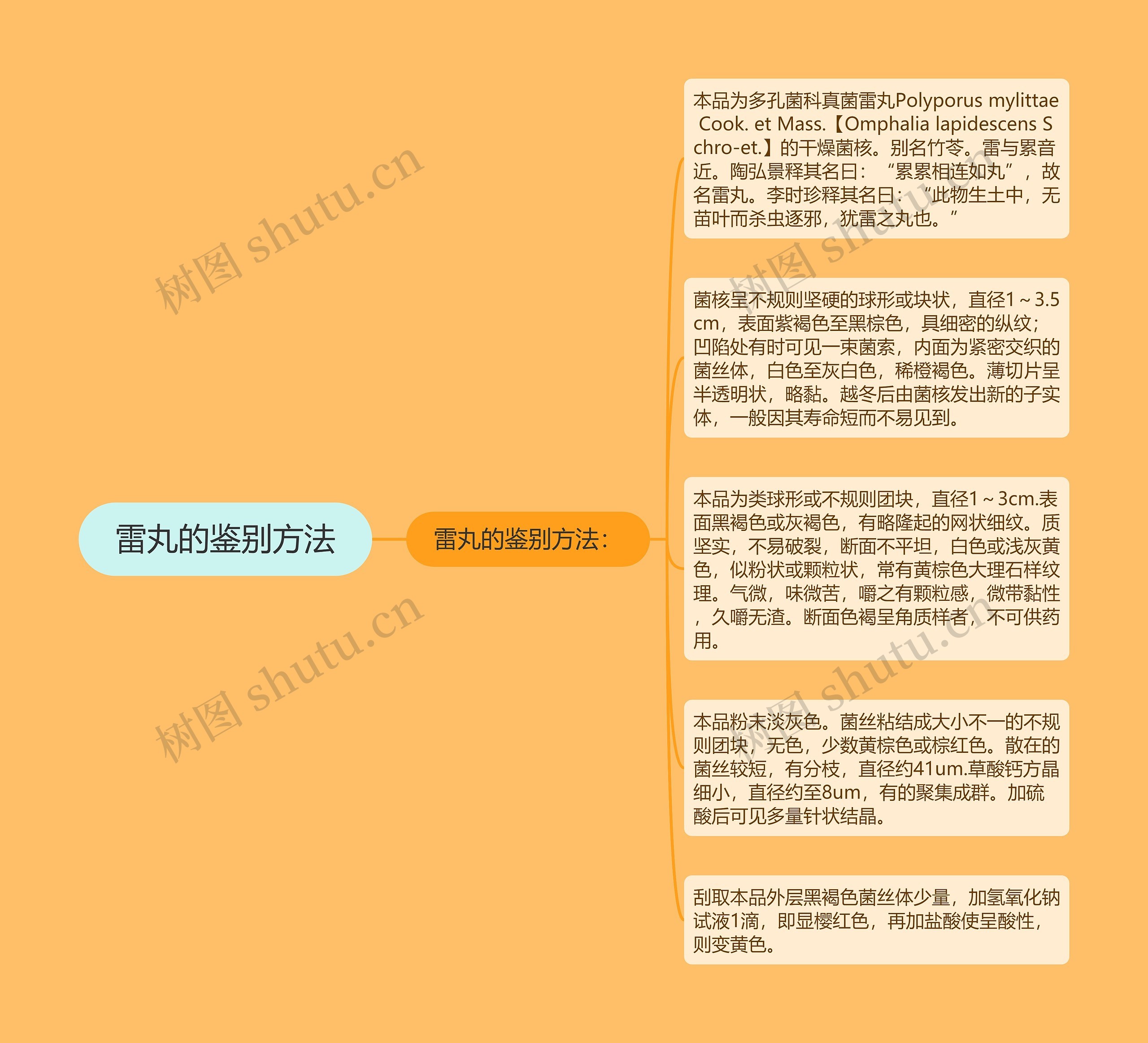 雷丸的鉴别方法 雷丸的鉴别方法