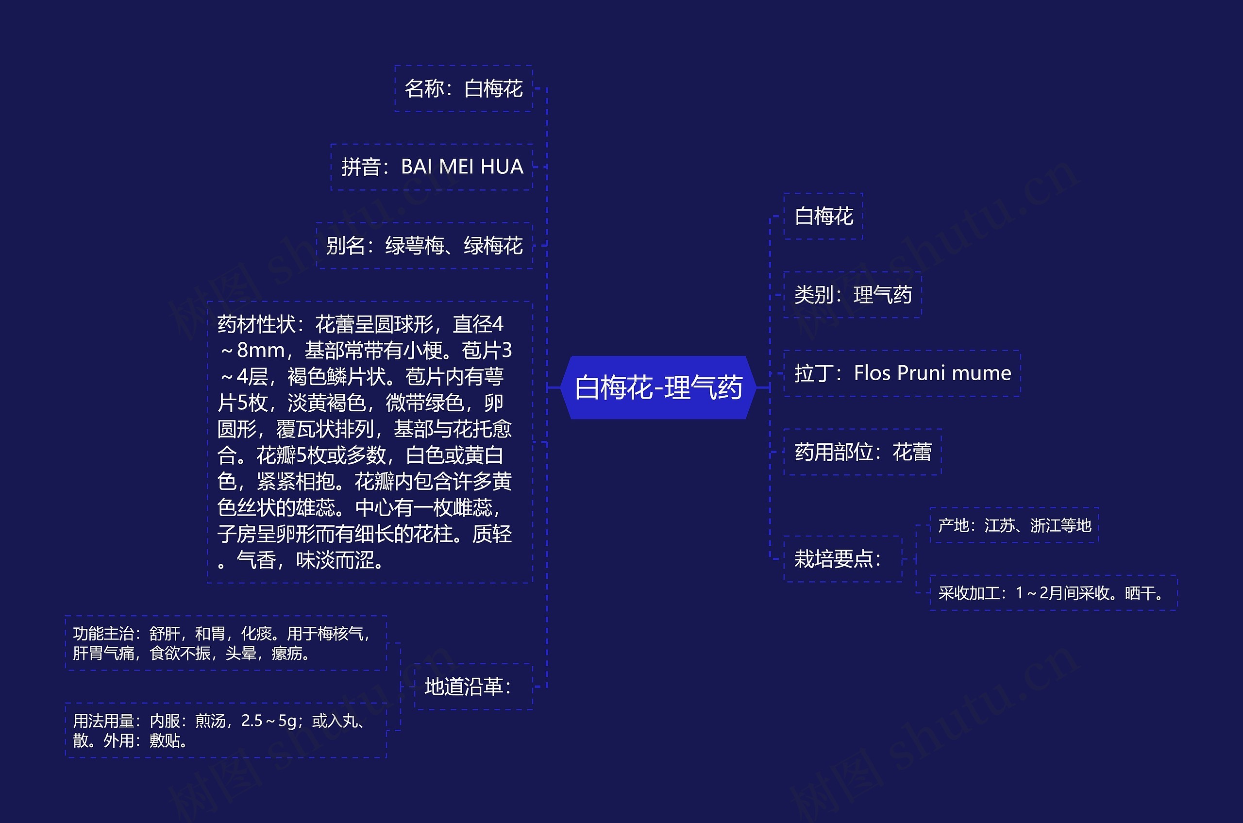 白梅花-理气药思维导图