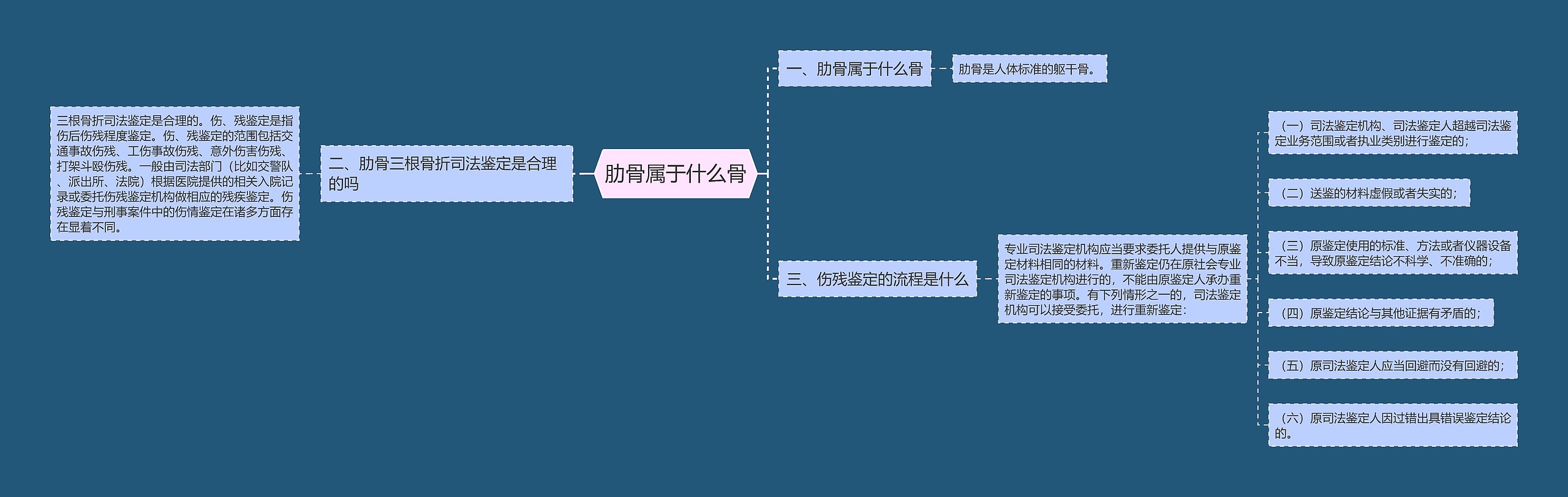 肋骨属于什么骨思维导图