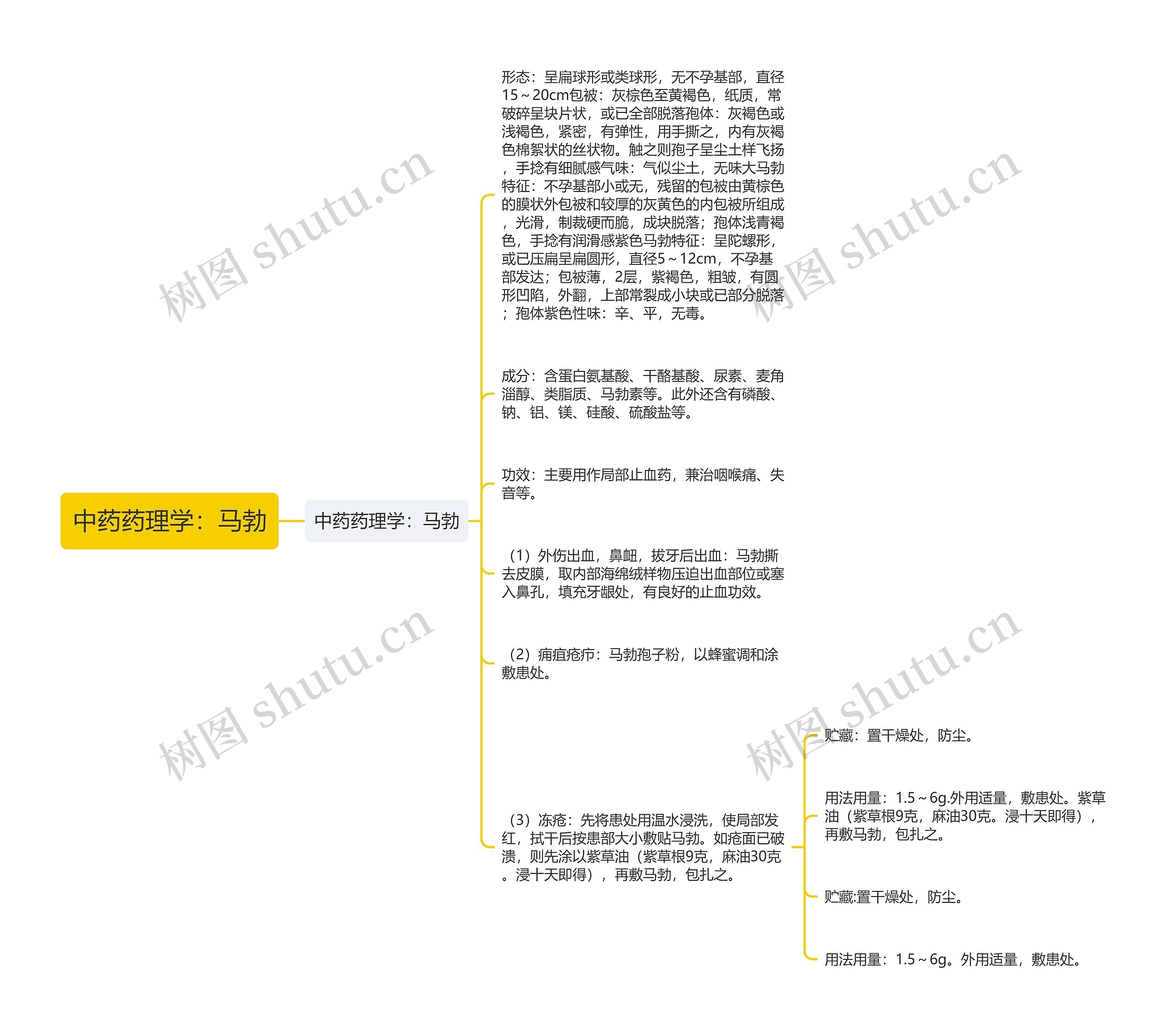 中药药理学：马勃思维导图