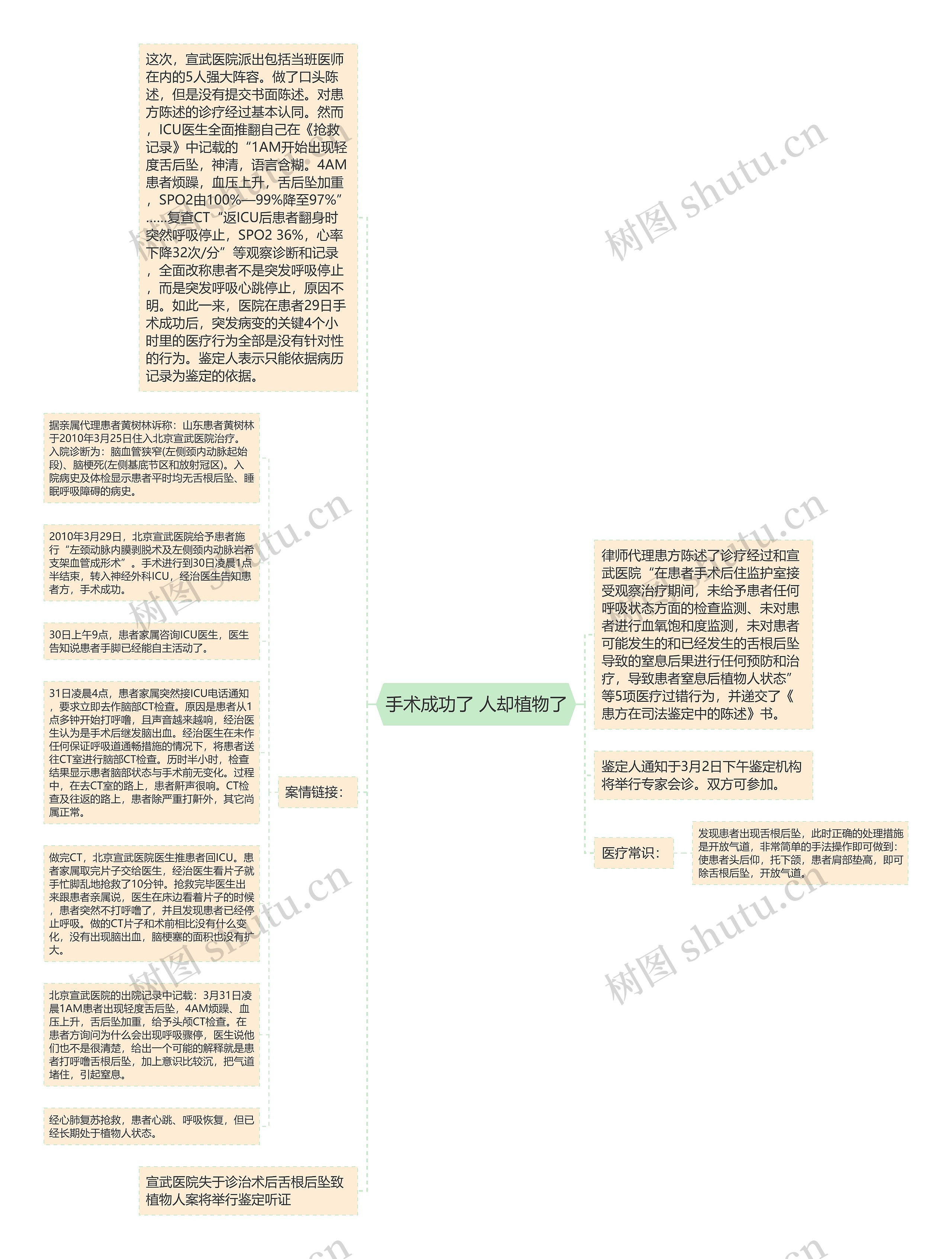 手术成功了 人却植物了思维导图