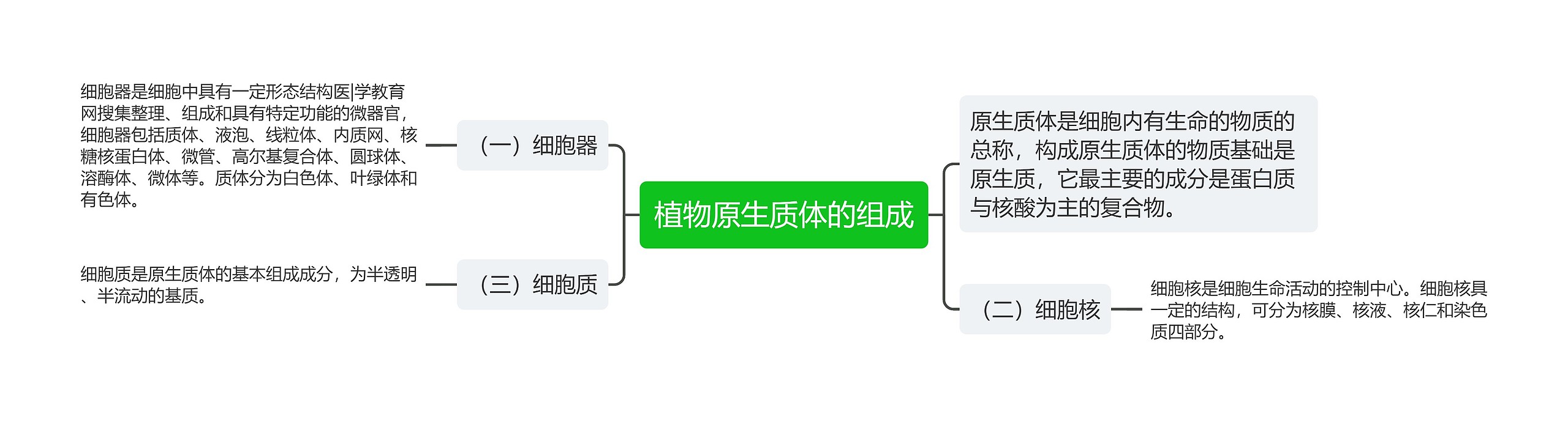 植物原生质体的组成思维导图