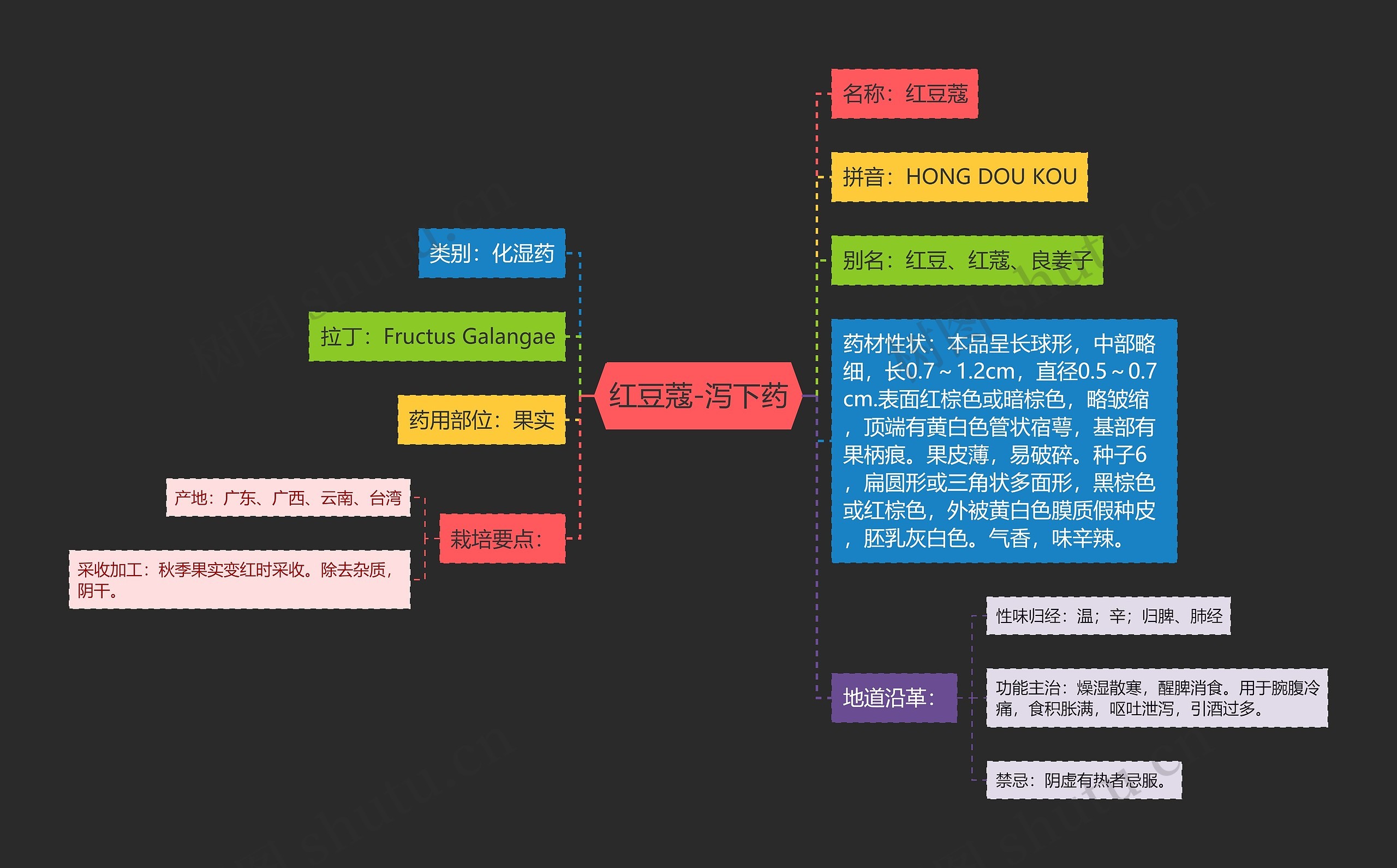 红豆蔻-泻下药思维导图