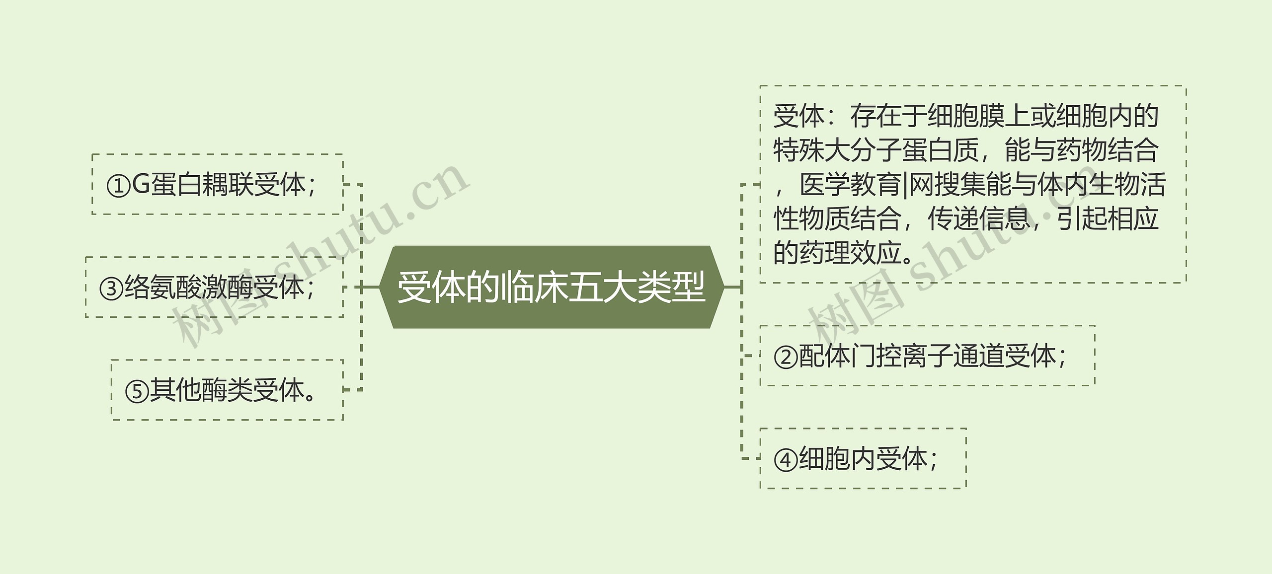 受体的临床五大类型 受体的临床五大类型