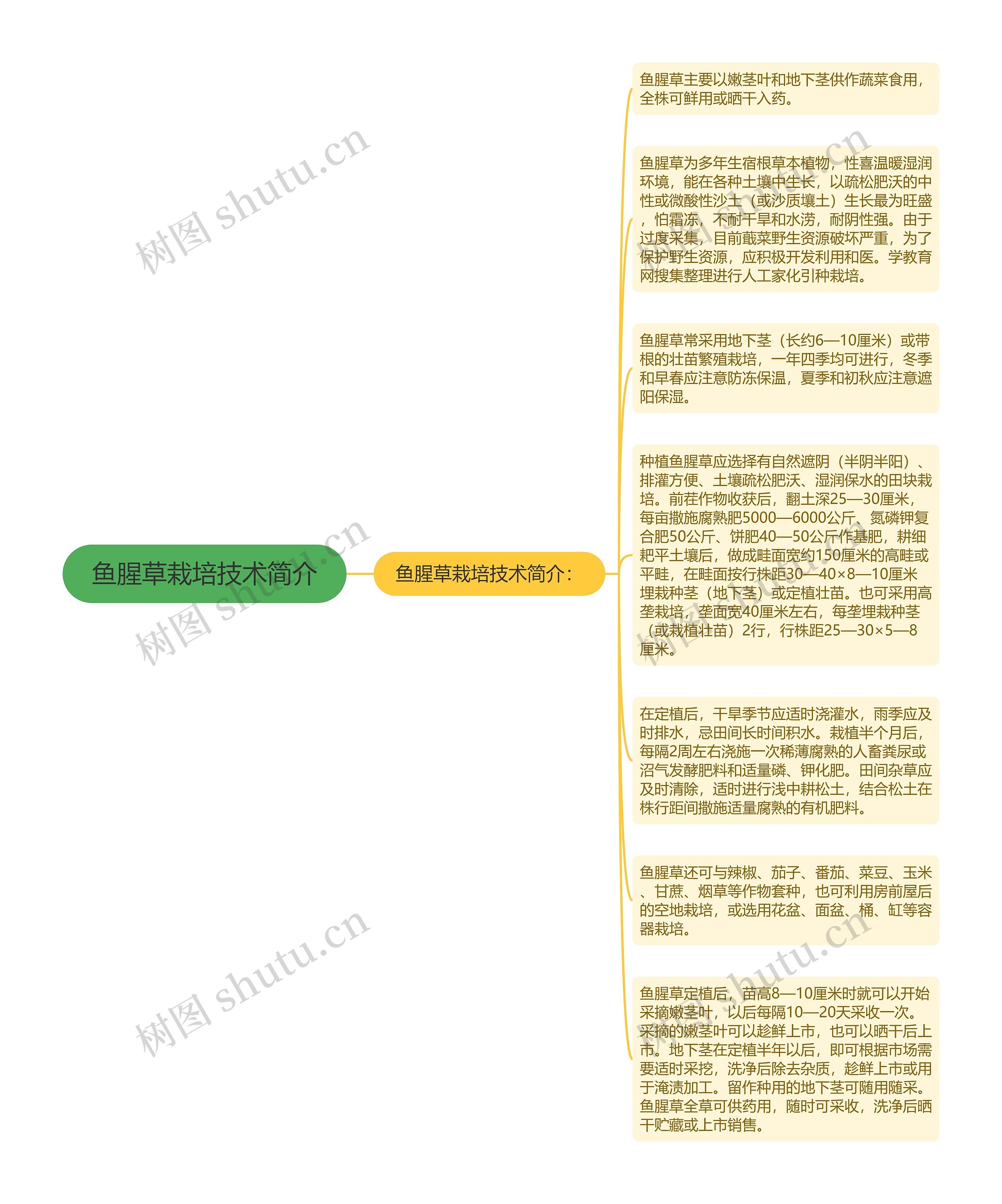 鱼腥草栽培技术简介思维导图