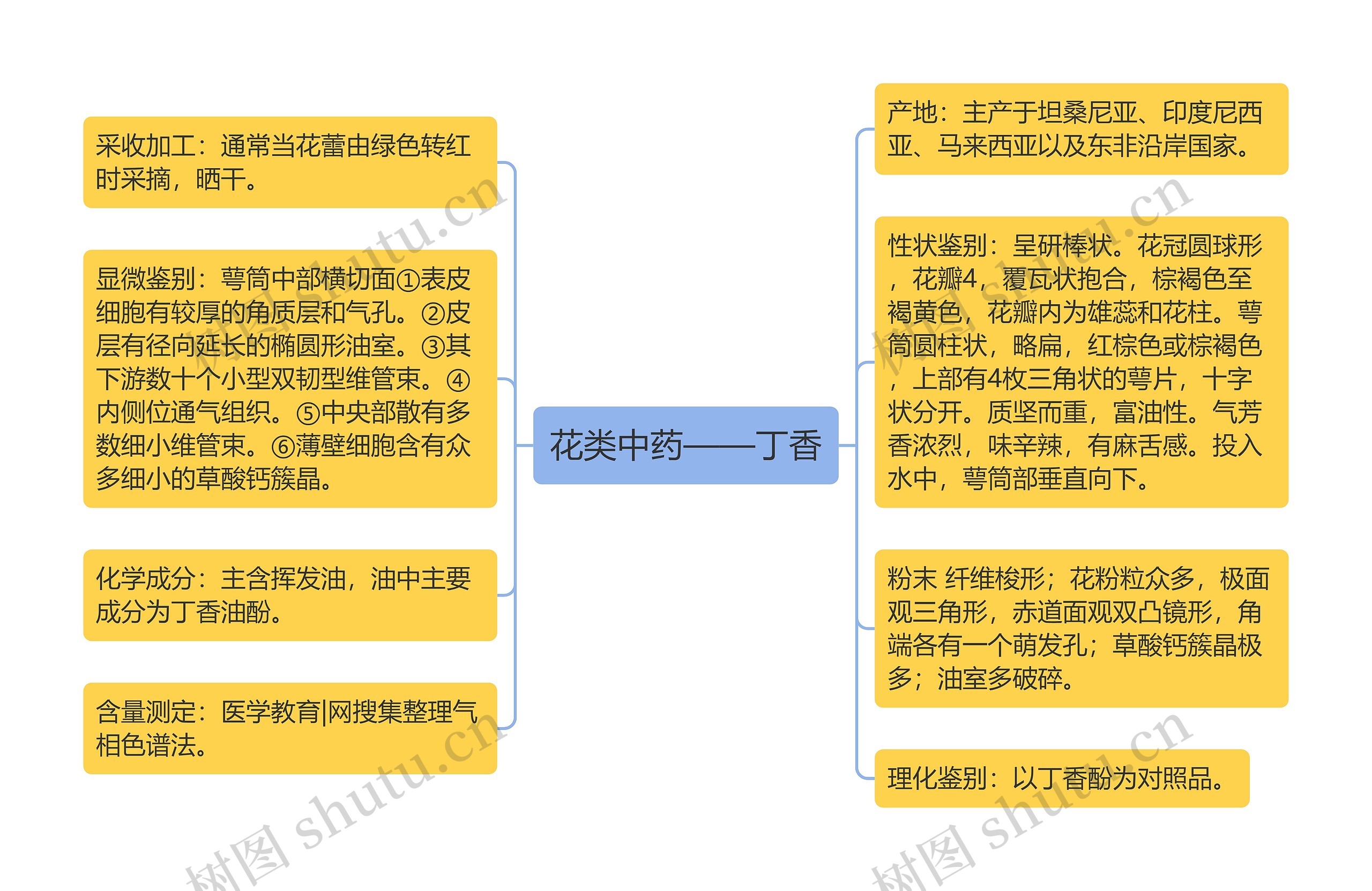 花类中药——丁香思维导图