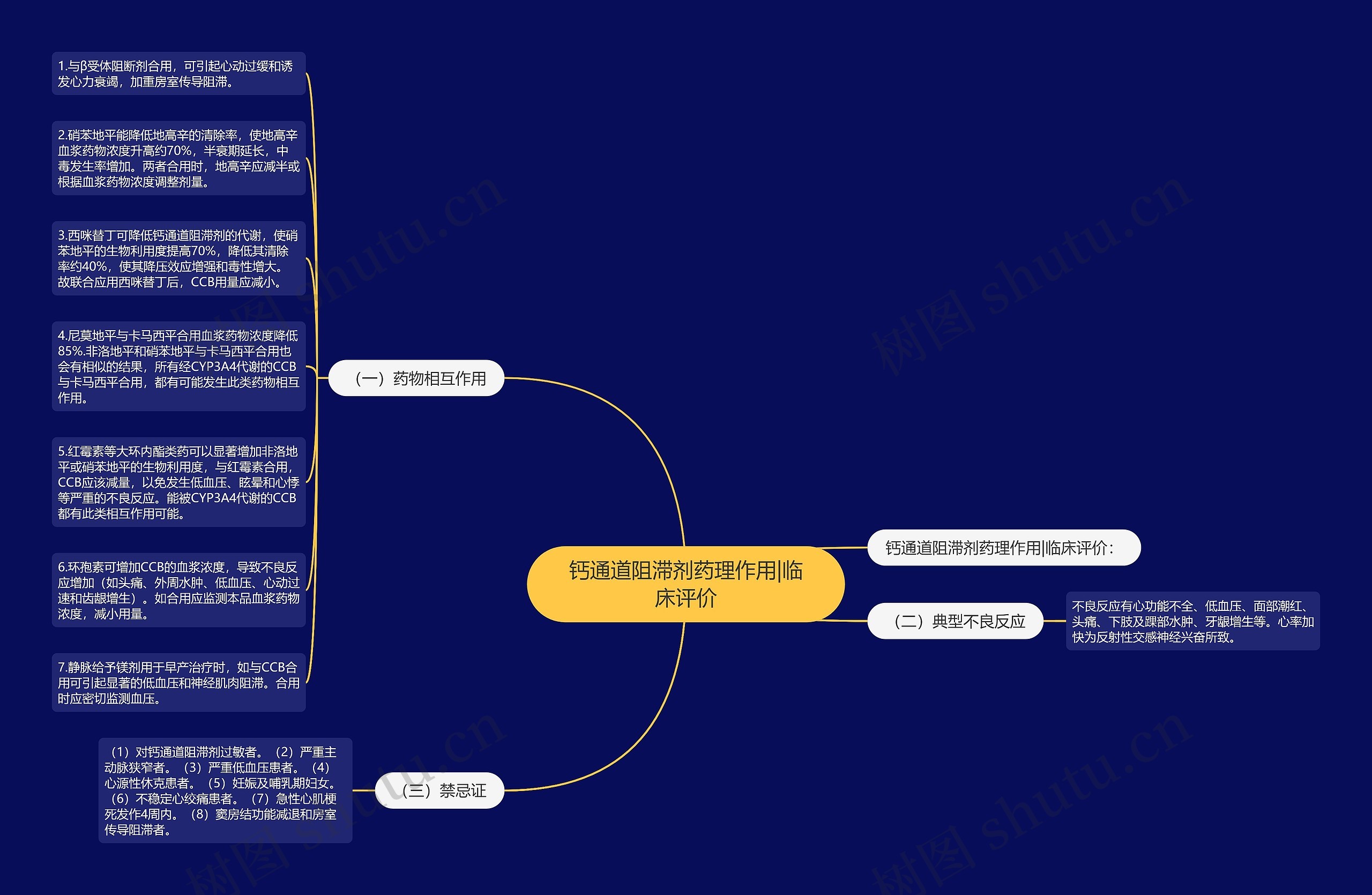 钙通道阻滞剂药理作用|临床评价思维导图