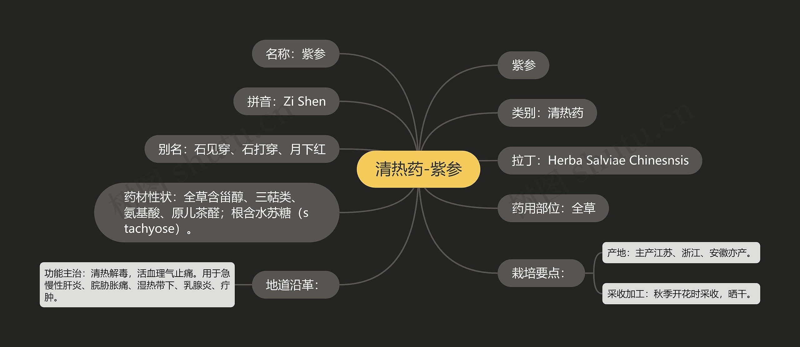 清热药-紫参思维导图