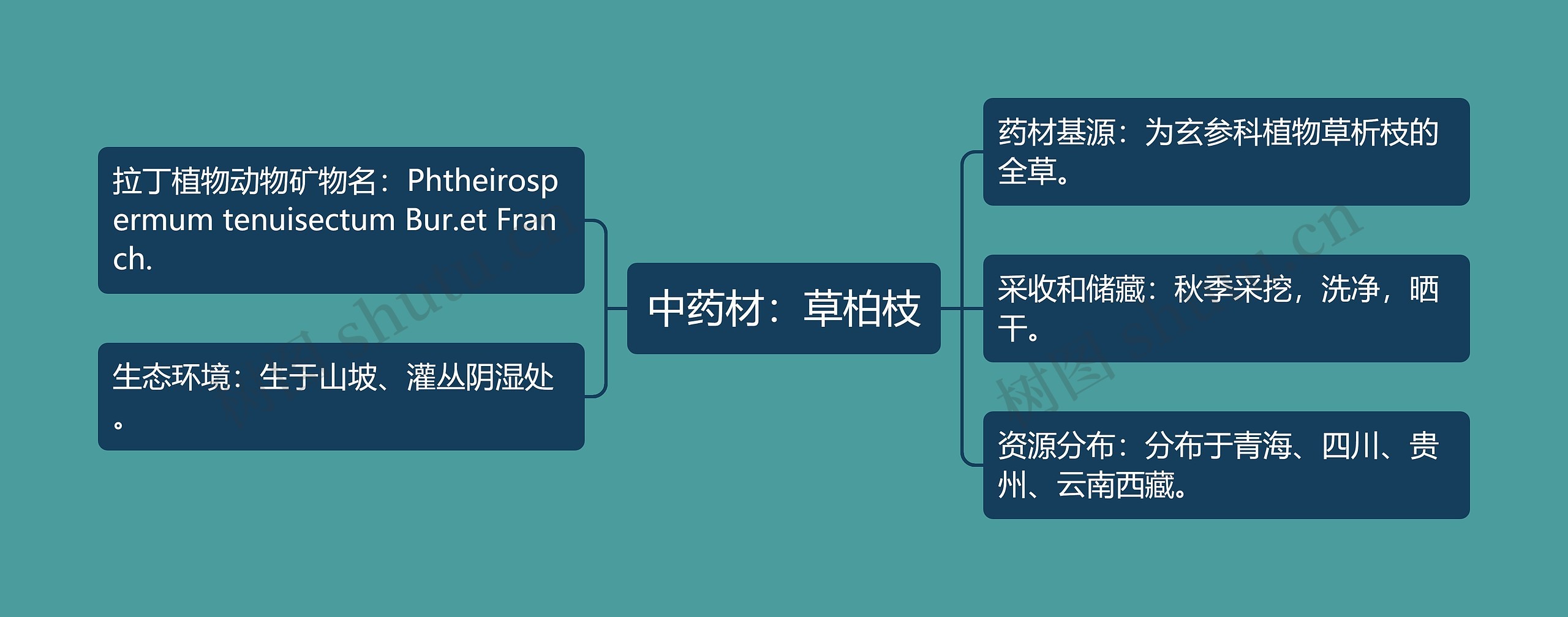 中药材：草柏枝思维导图