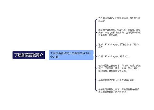 丁溴东莨菪碱简介