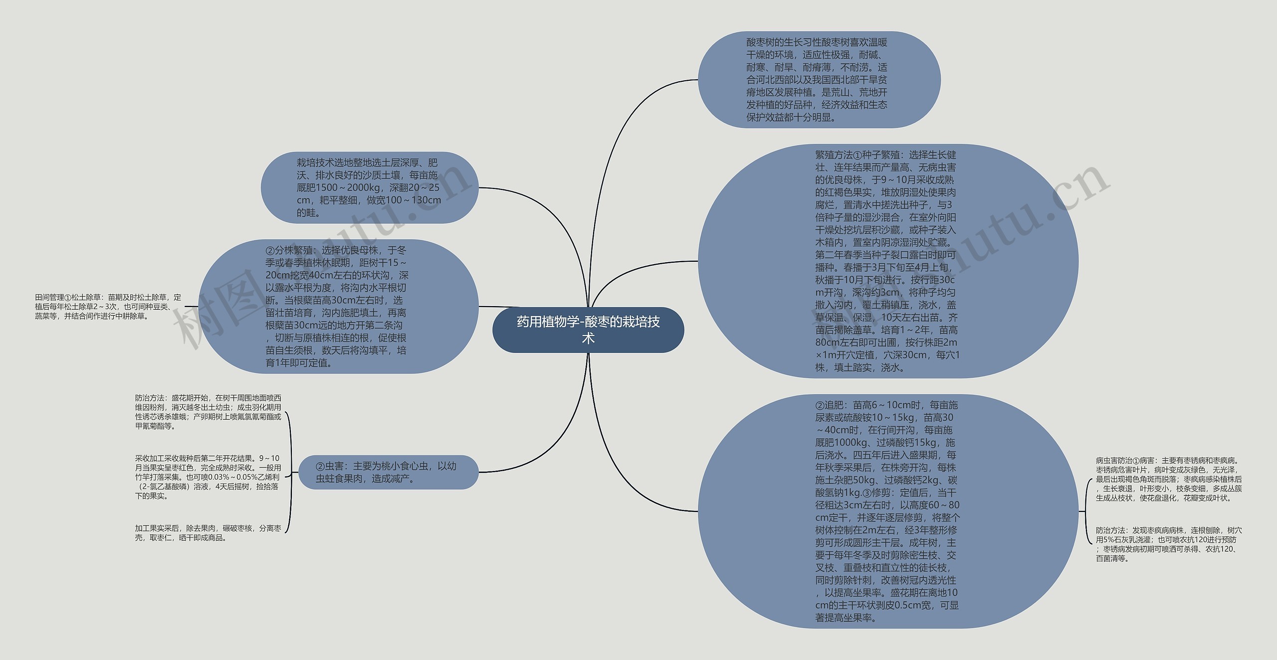 药用植物学-酸枣的栽培技术思维导图