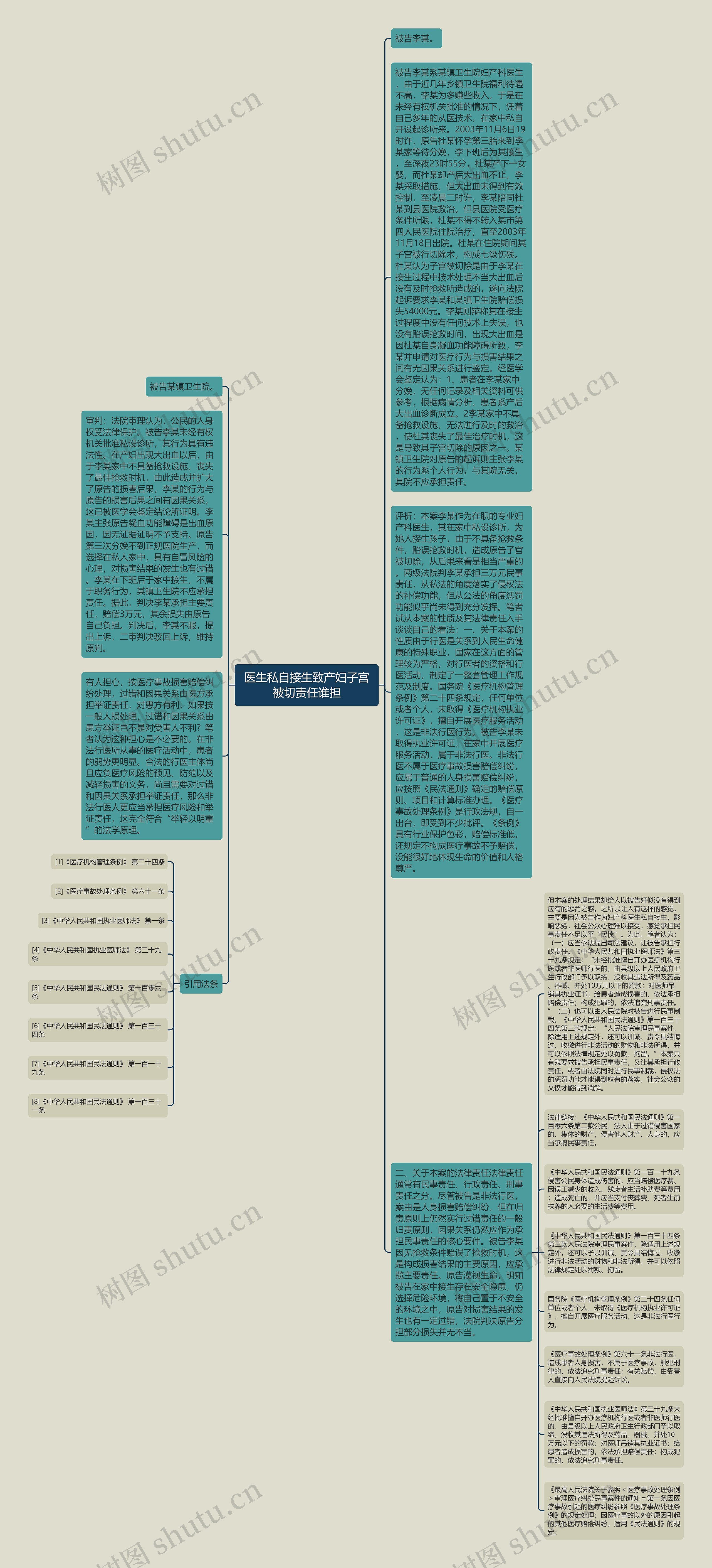 医生私自接生致产妇子宫被切责任谁担思维导图