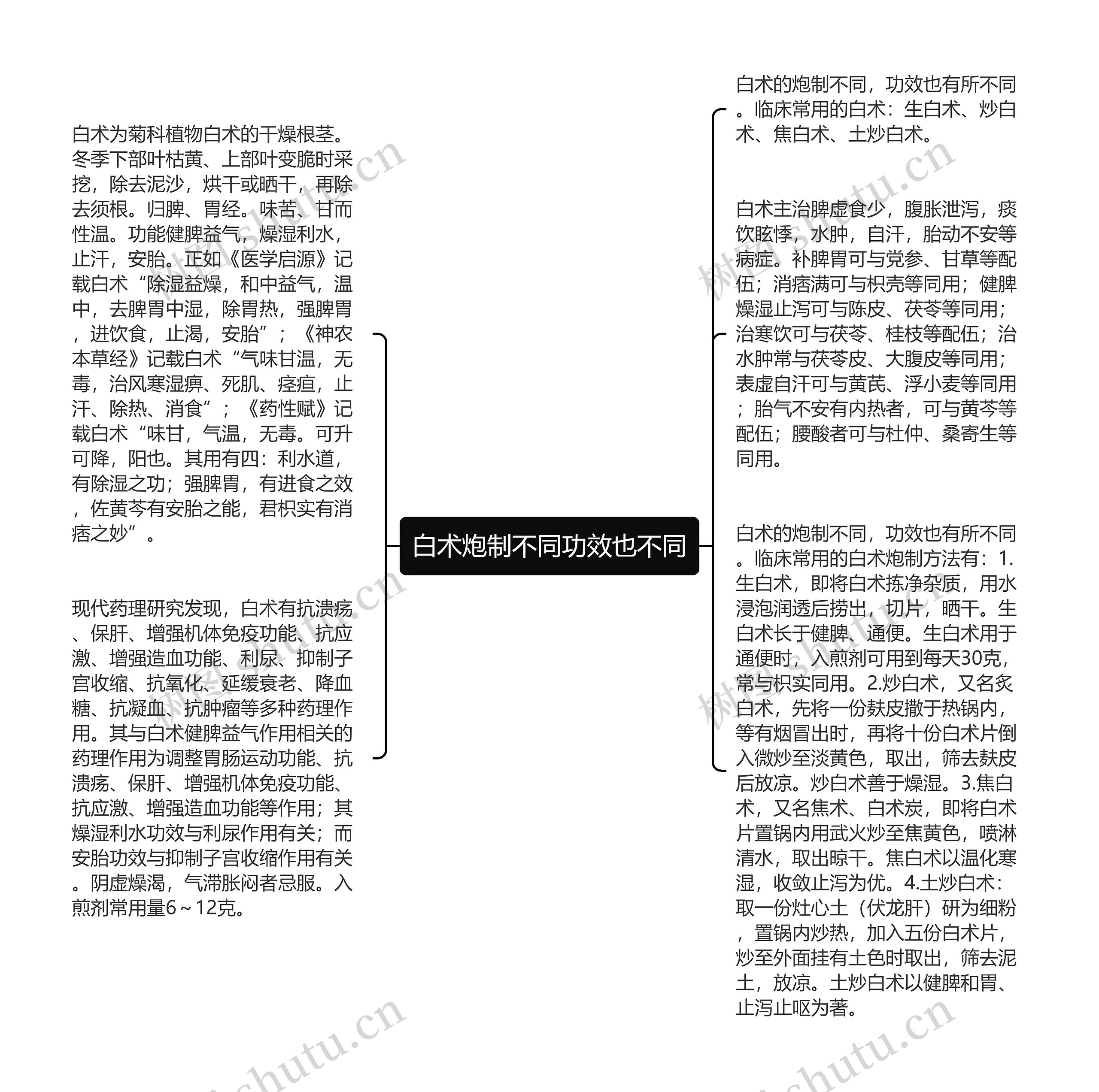 白术炮制不同功效也不同