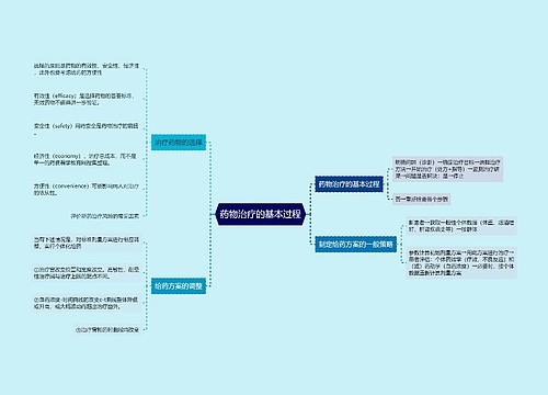 药物治疗的基本过程