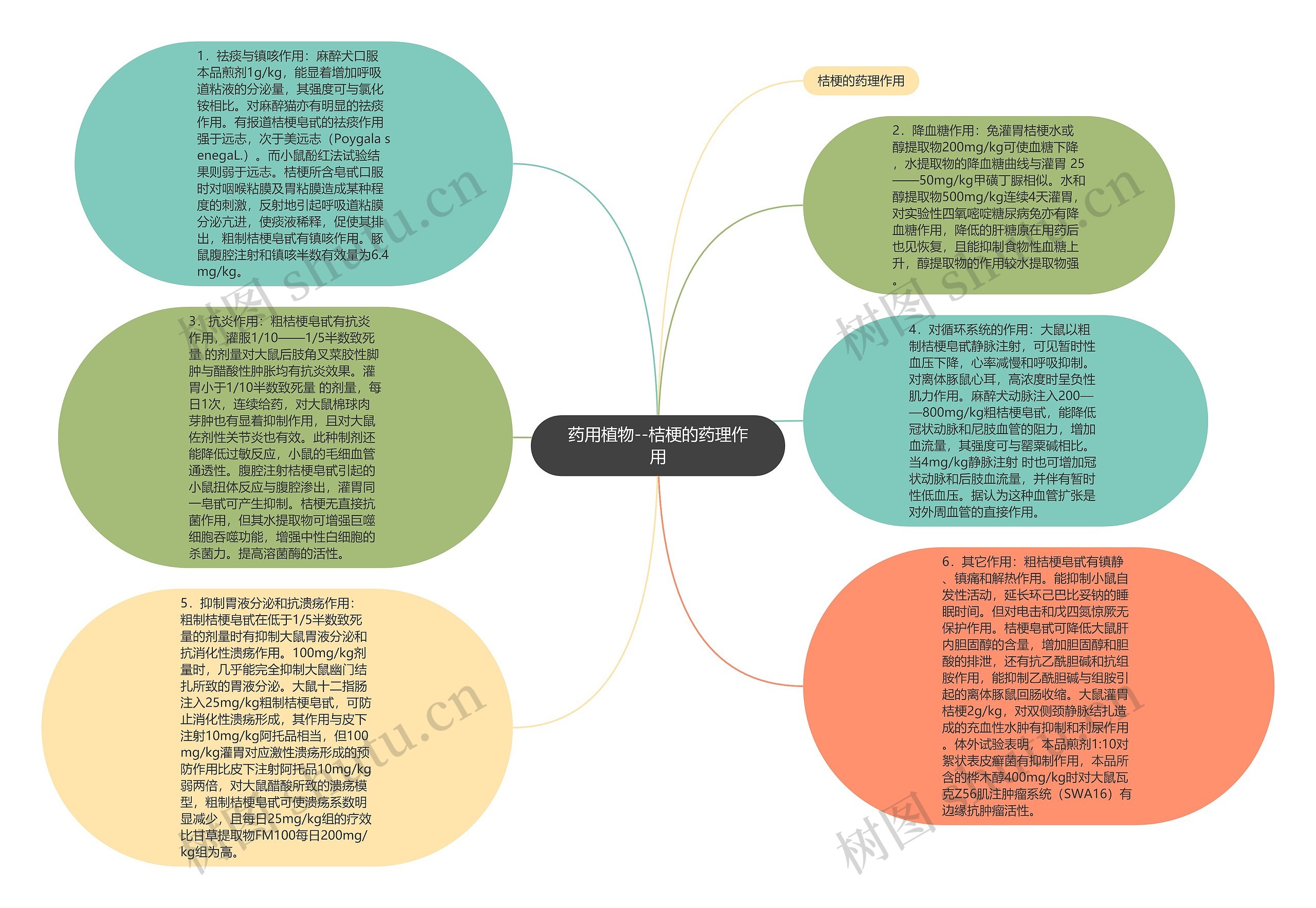 药用植物--桔梗的药理作用思维导图