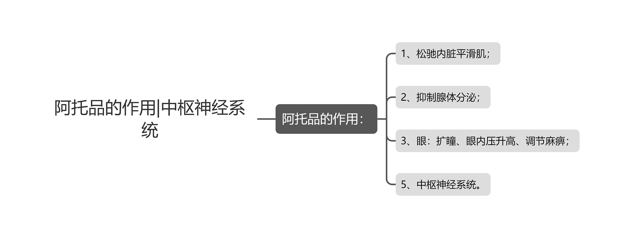 阿托品的作用|中枢神经系统思维导图